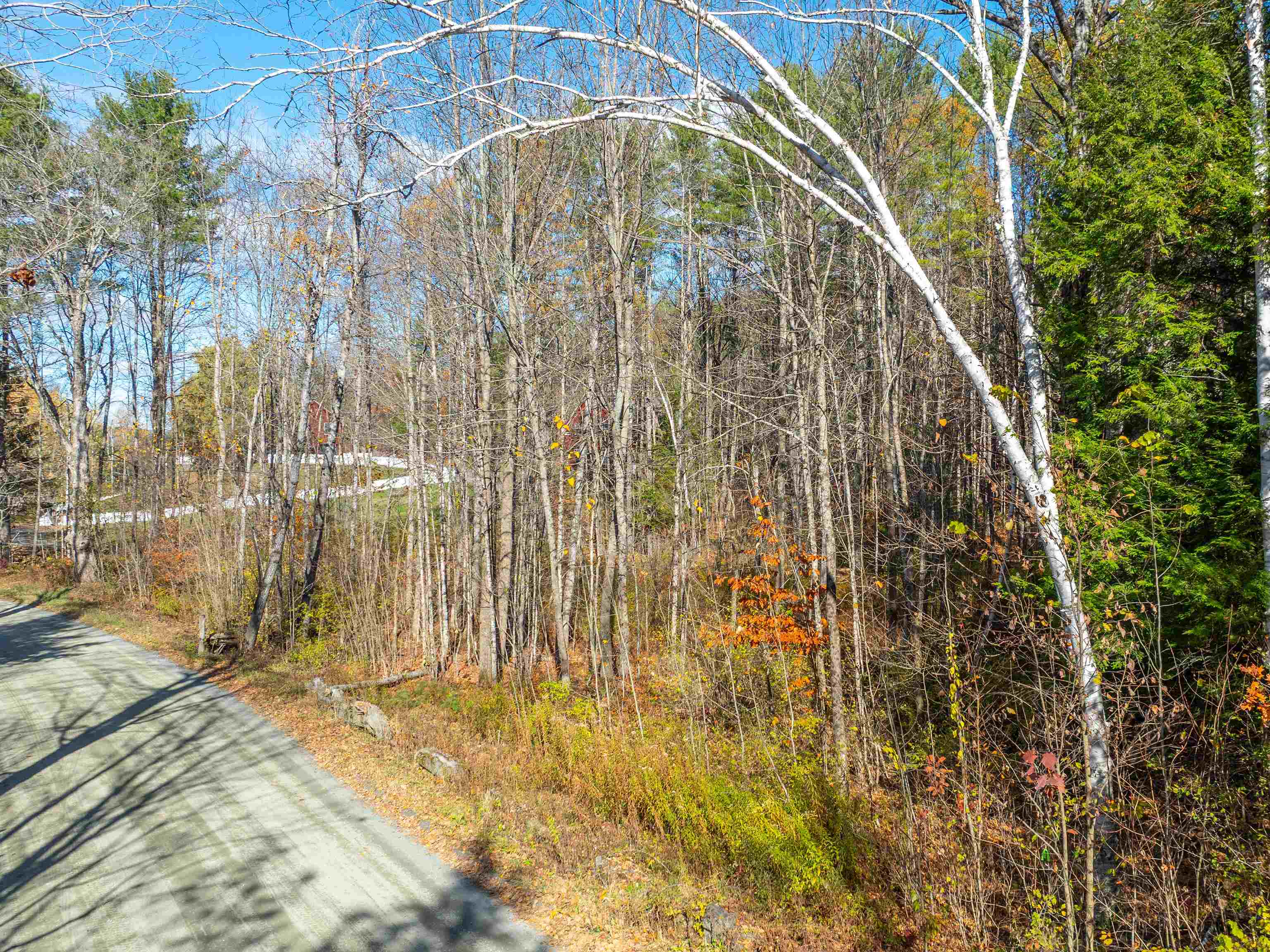 00 Carlton Hill Road