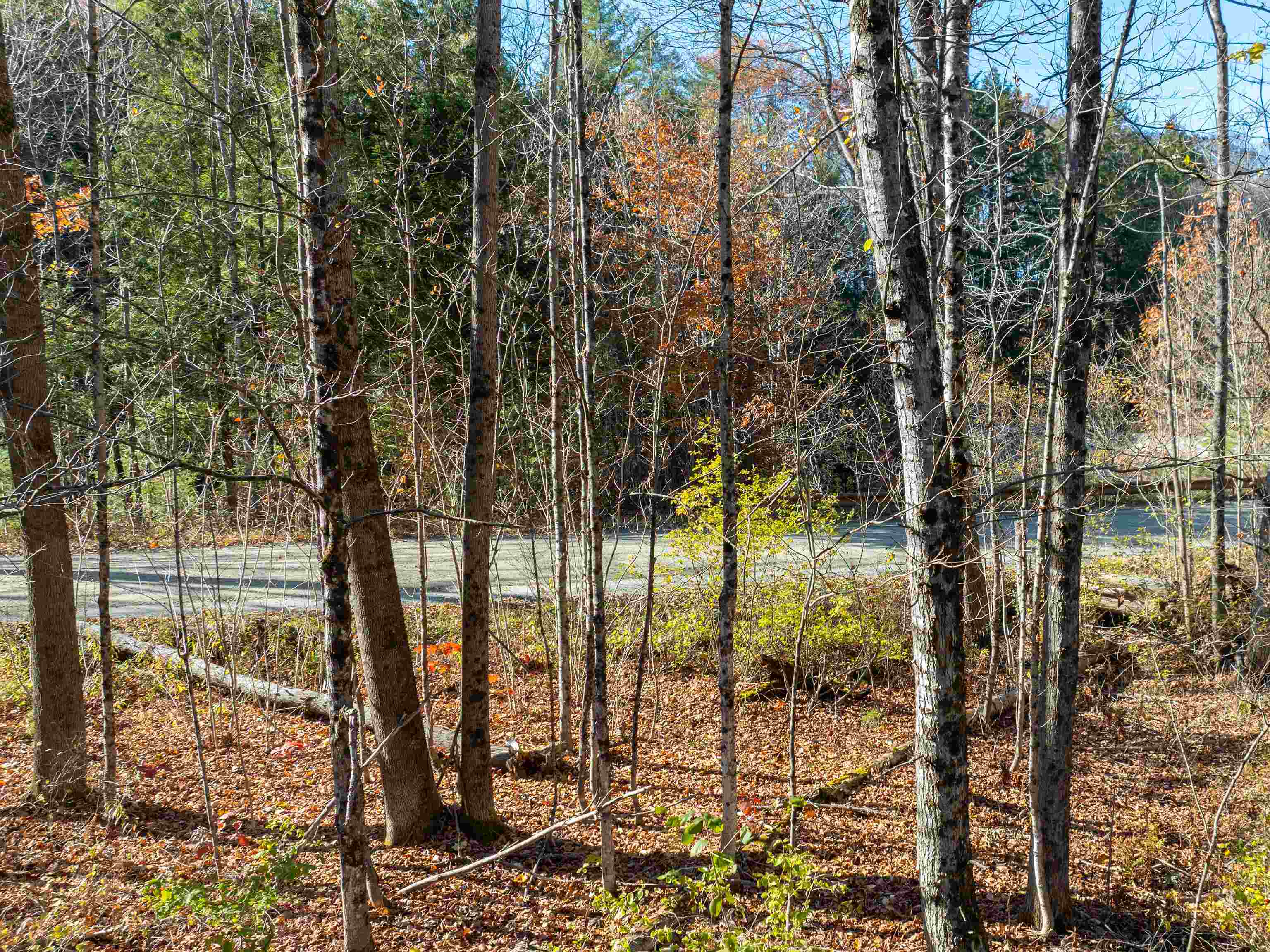 00 Carlton Hill Road