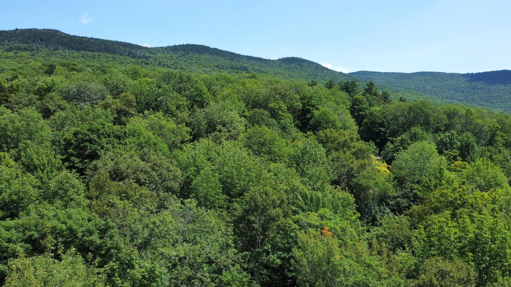 00-1 Prickly Mountain Road