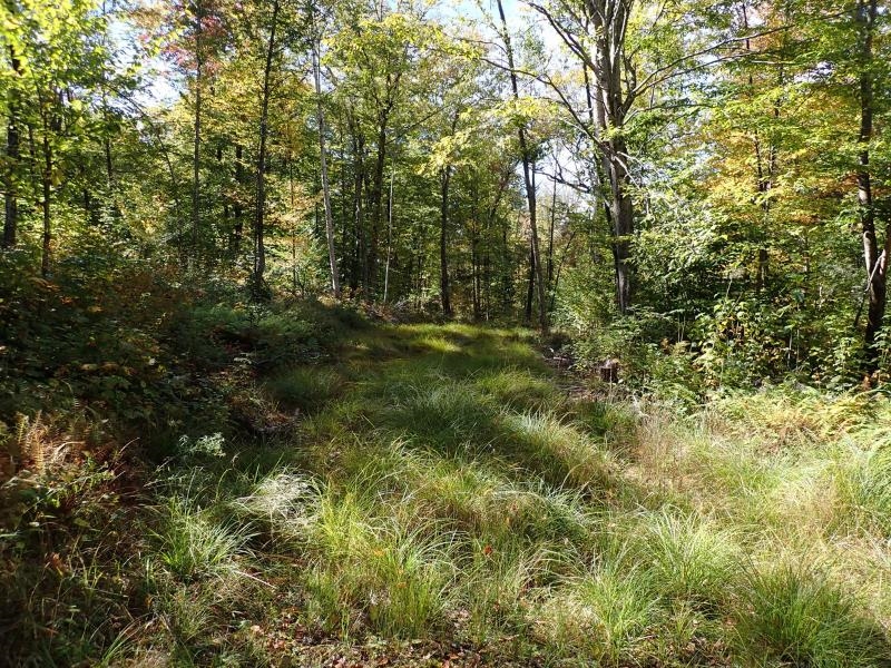 West Hill Road