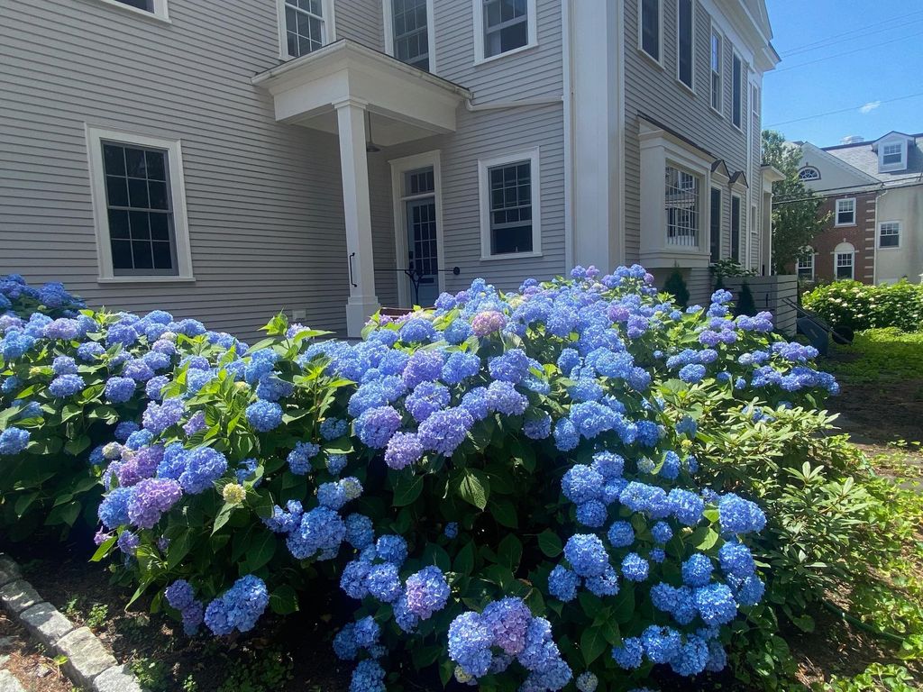 Photo of 353 Pleasant Street, Portsmouth, NH 03801 (MLS # 5087033)