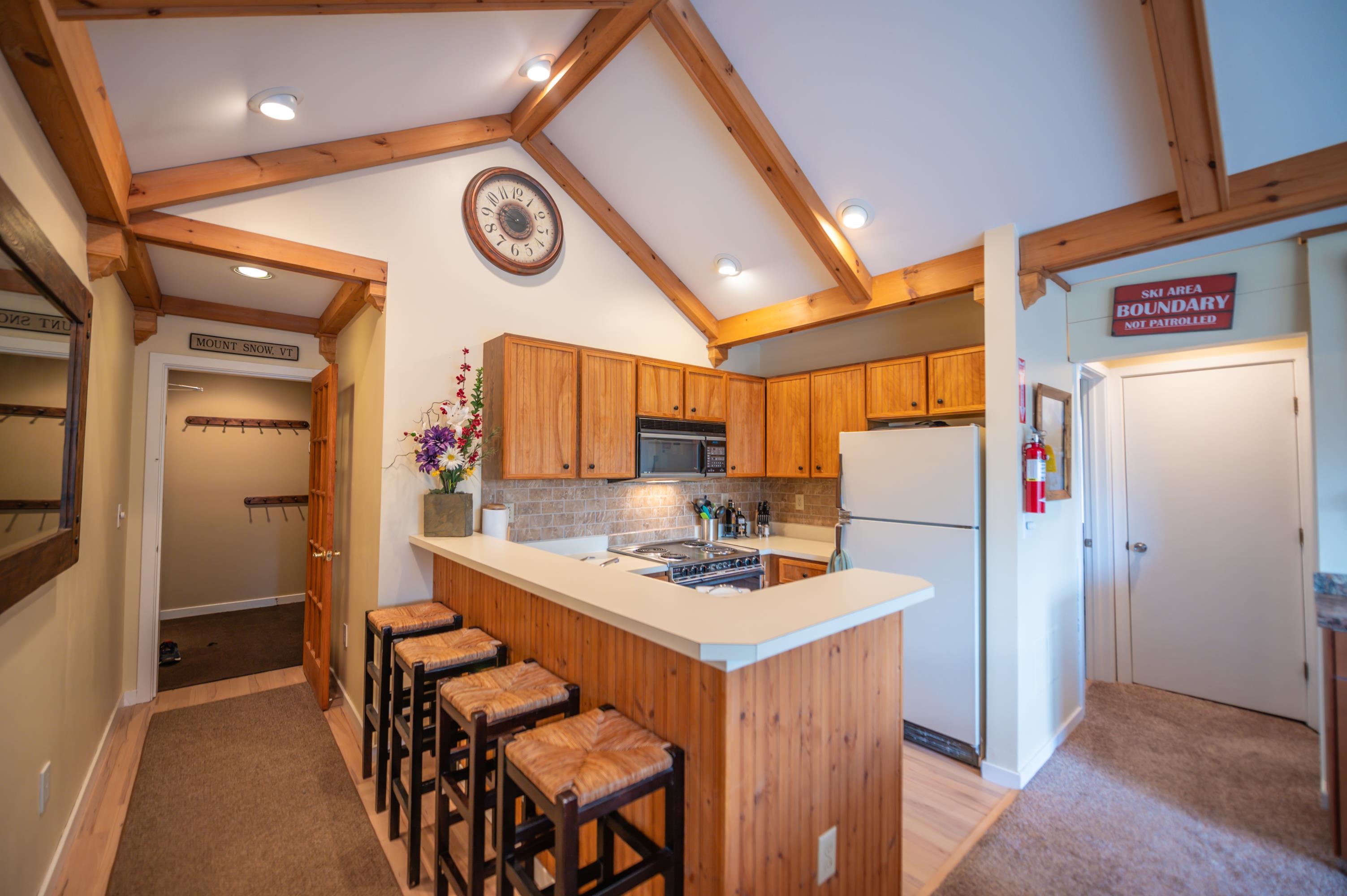 17A Mountain Village 241