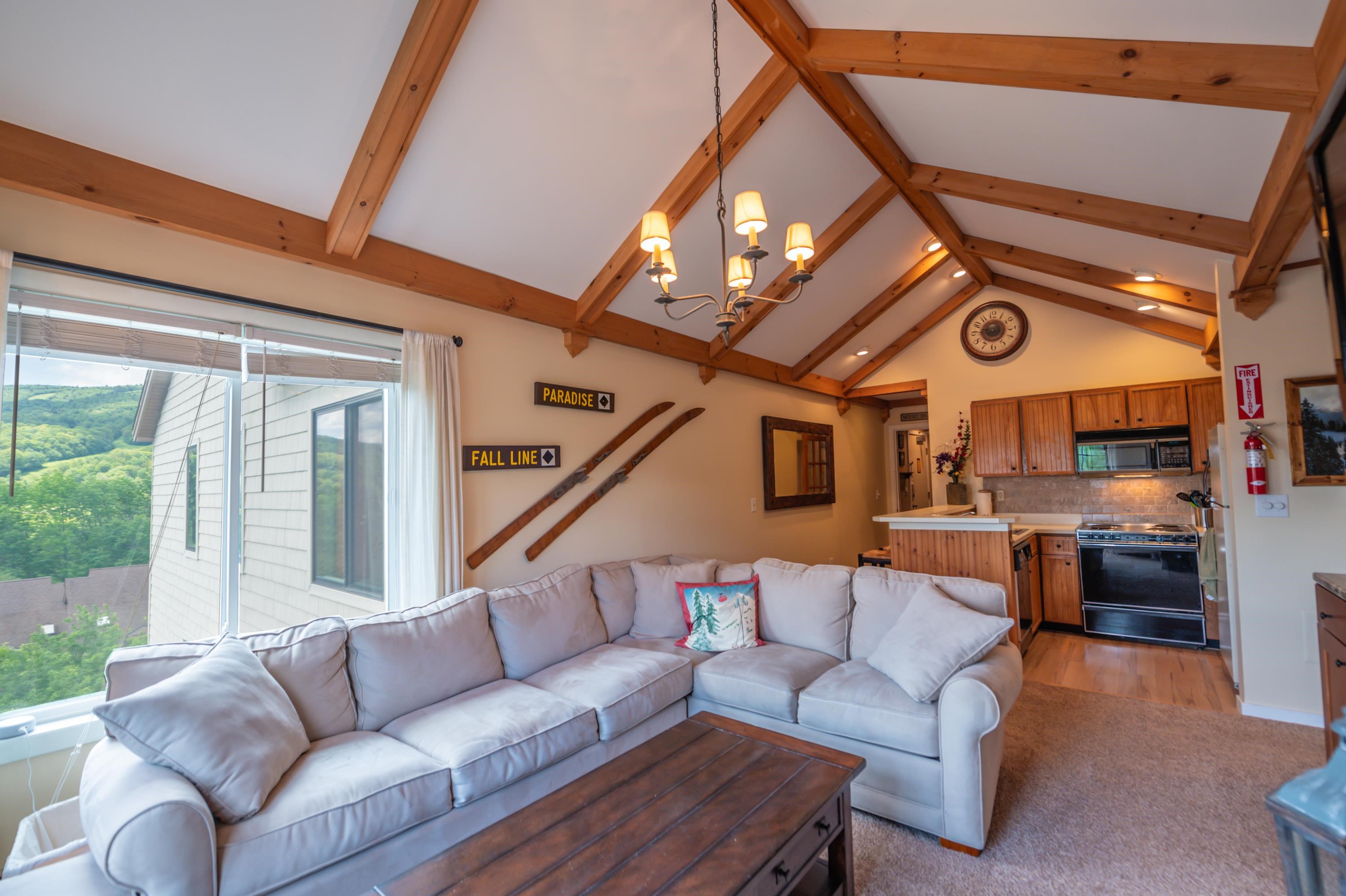 17A Mountain Village 241