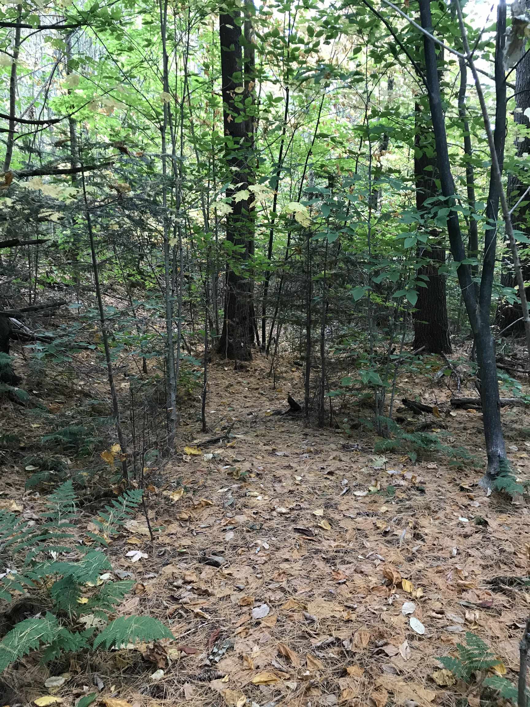 3003 East Warren Road