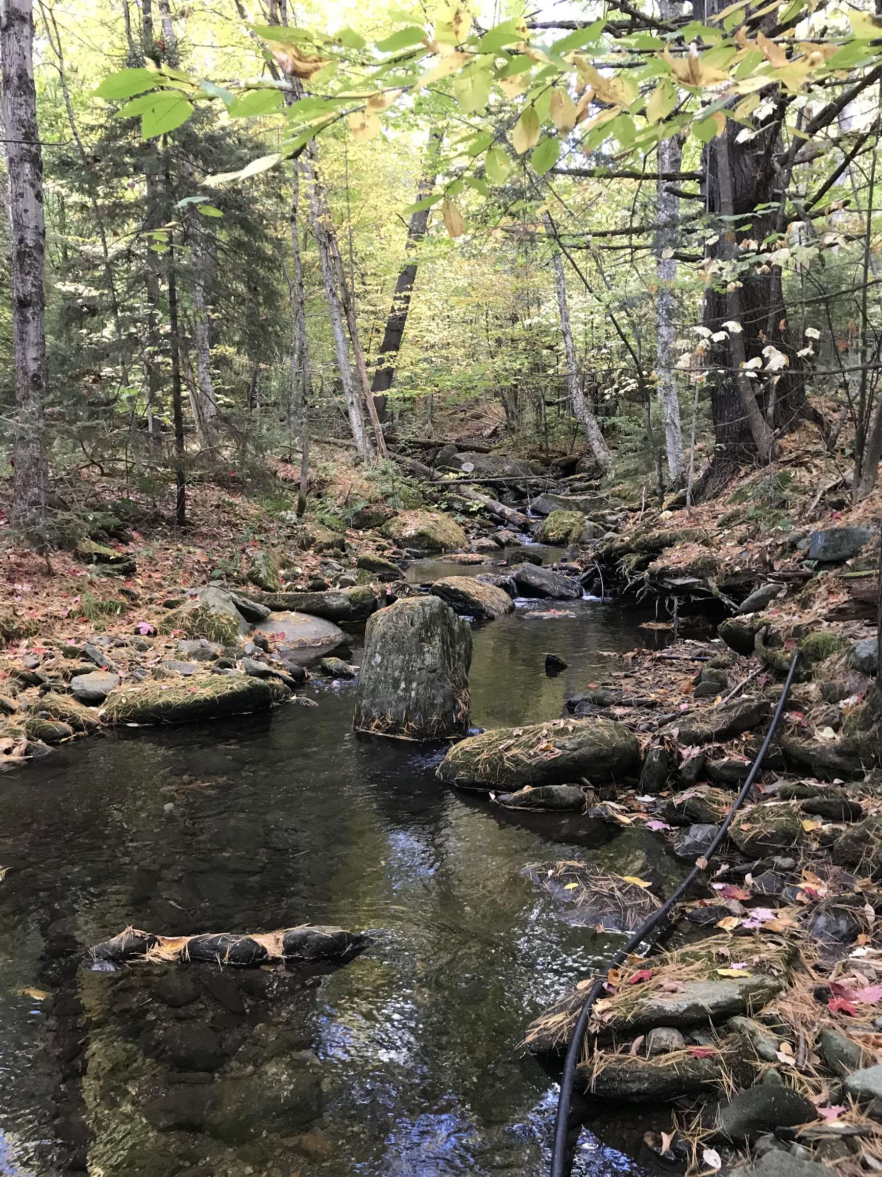 3003 East Warren Road