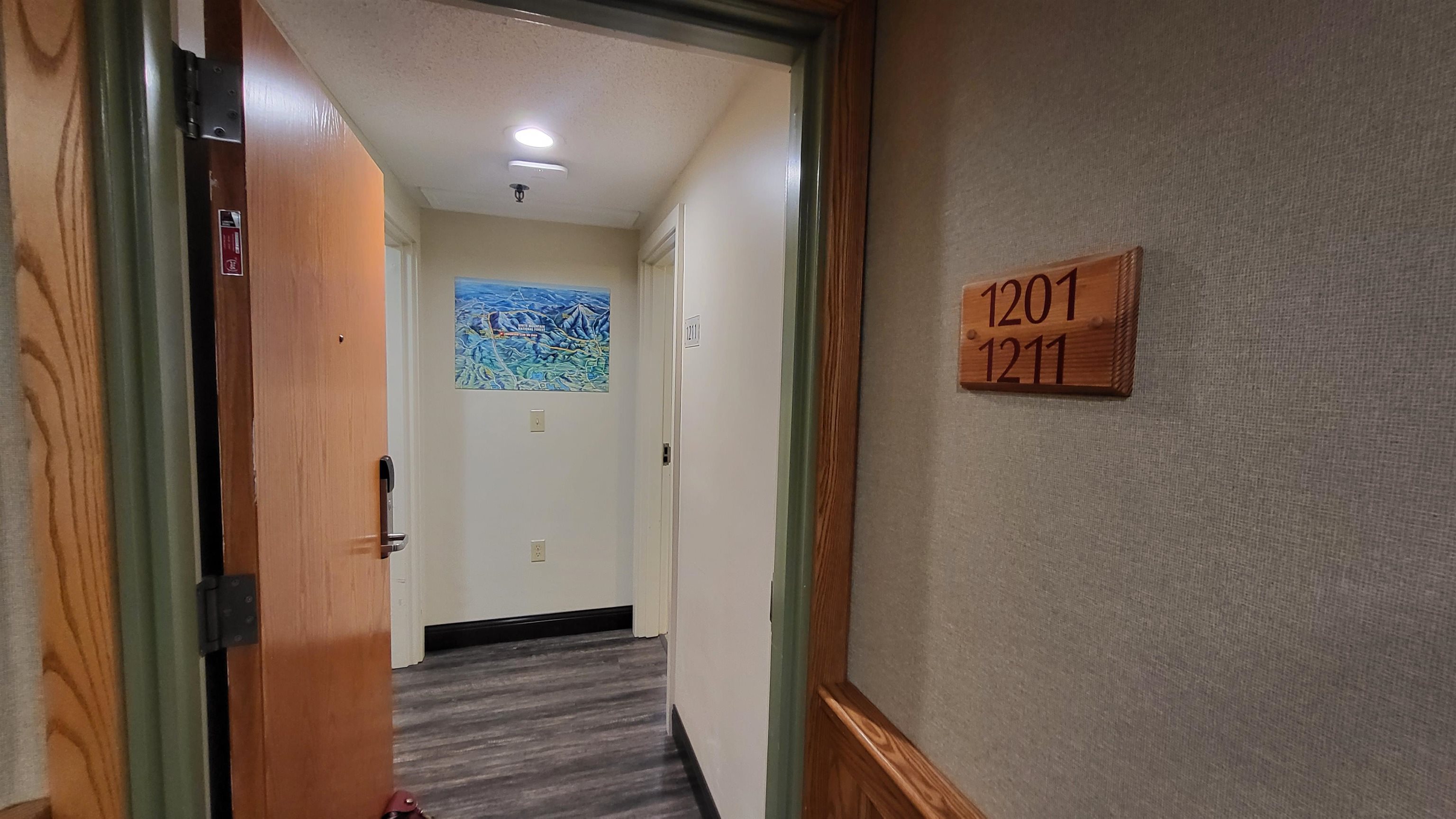 90 Loon Mountain Road 1201D