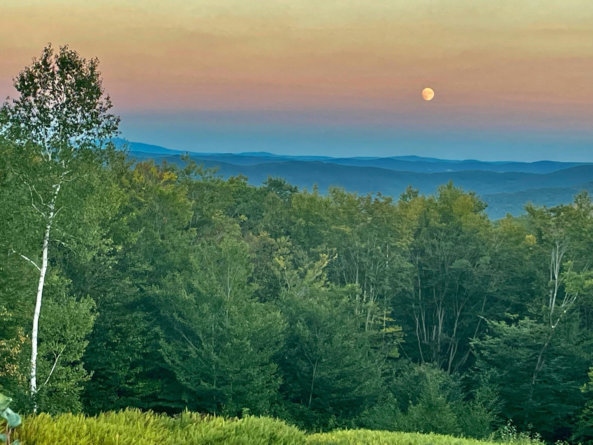 365 Timson Hill Road