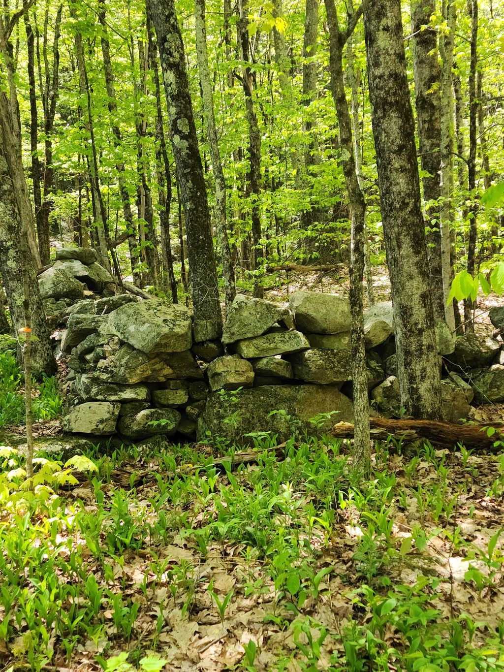 Photo of 000 South Village Road #R13-13, Westmoreland, NH 03467 (MLS # 5024084)