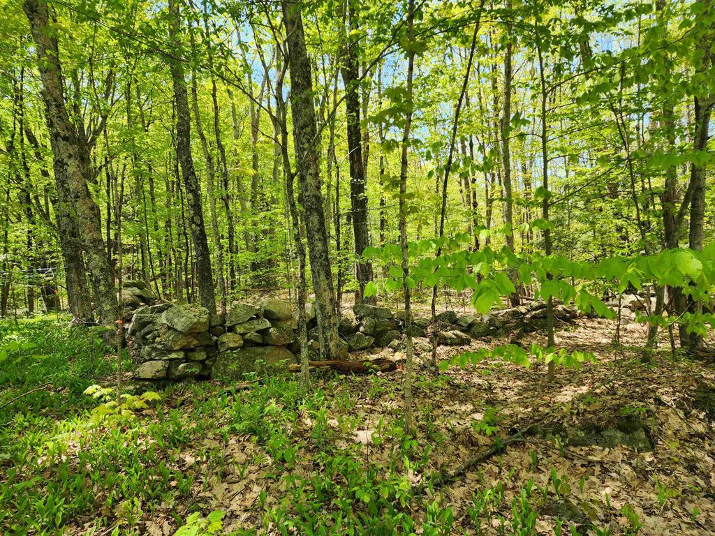 Photo of 000 South Village Road #R13-13, Westmoreland, NH 03467 (MLS # 5024084)