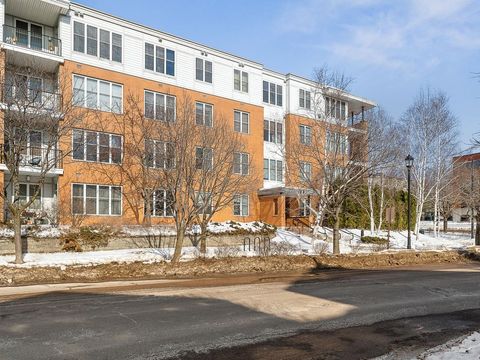 370 Farrell Street 313 South Burlington VT 05403