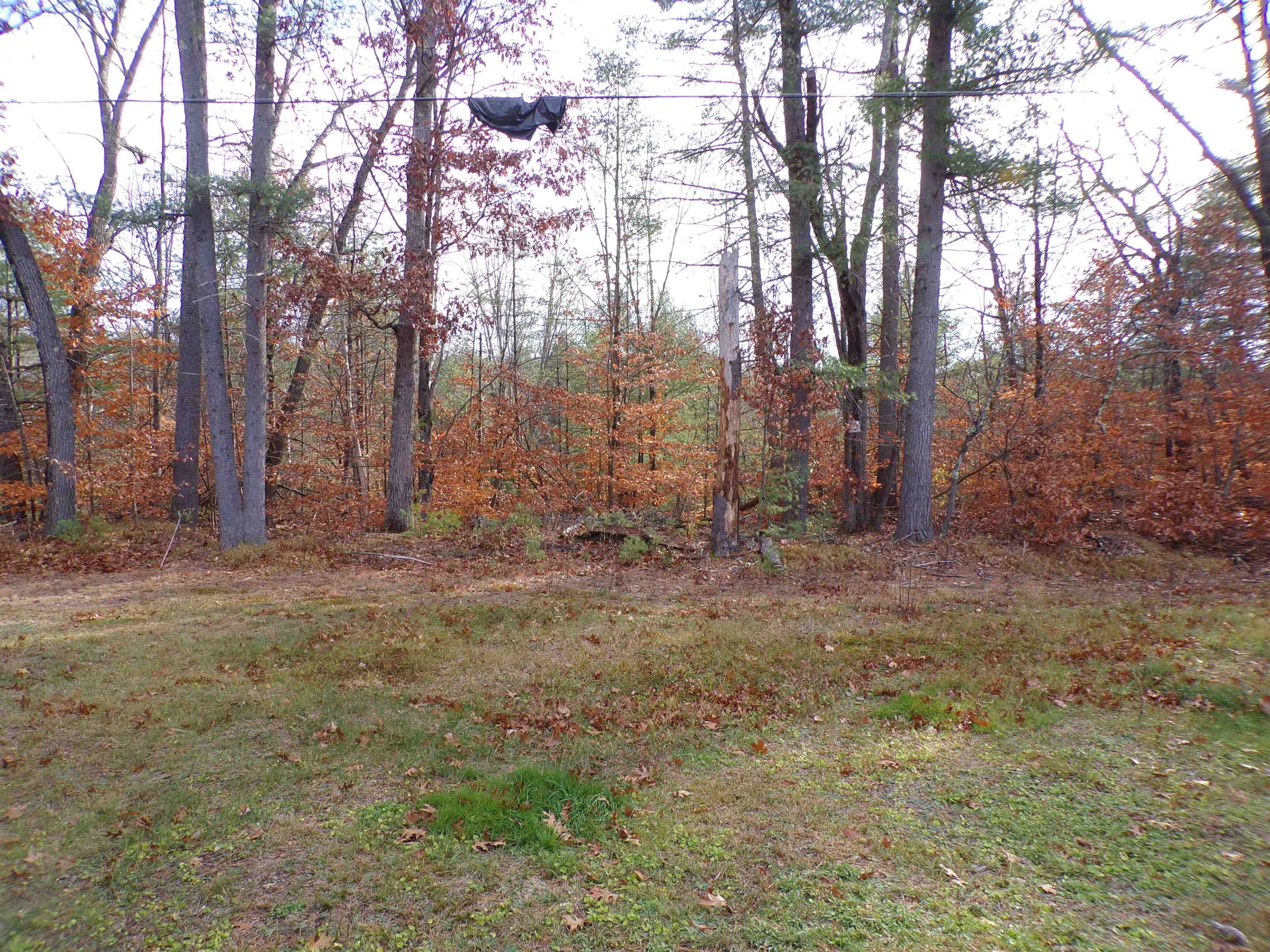 15 Pineland Park Road