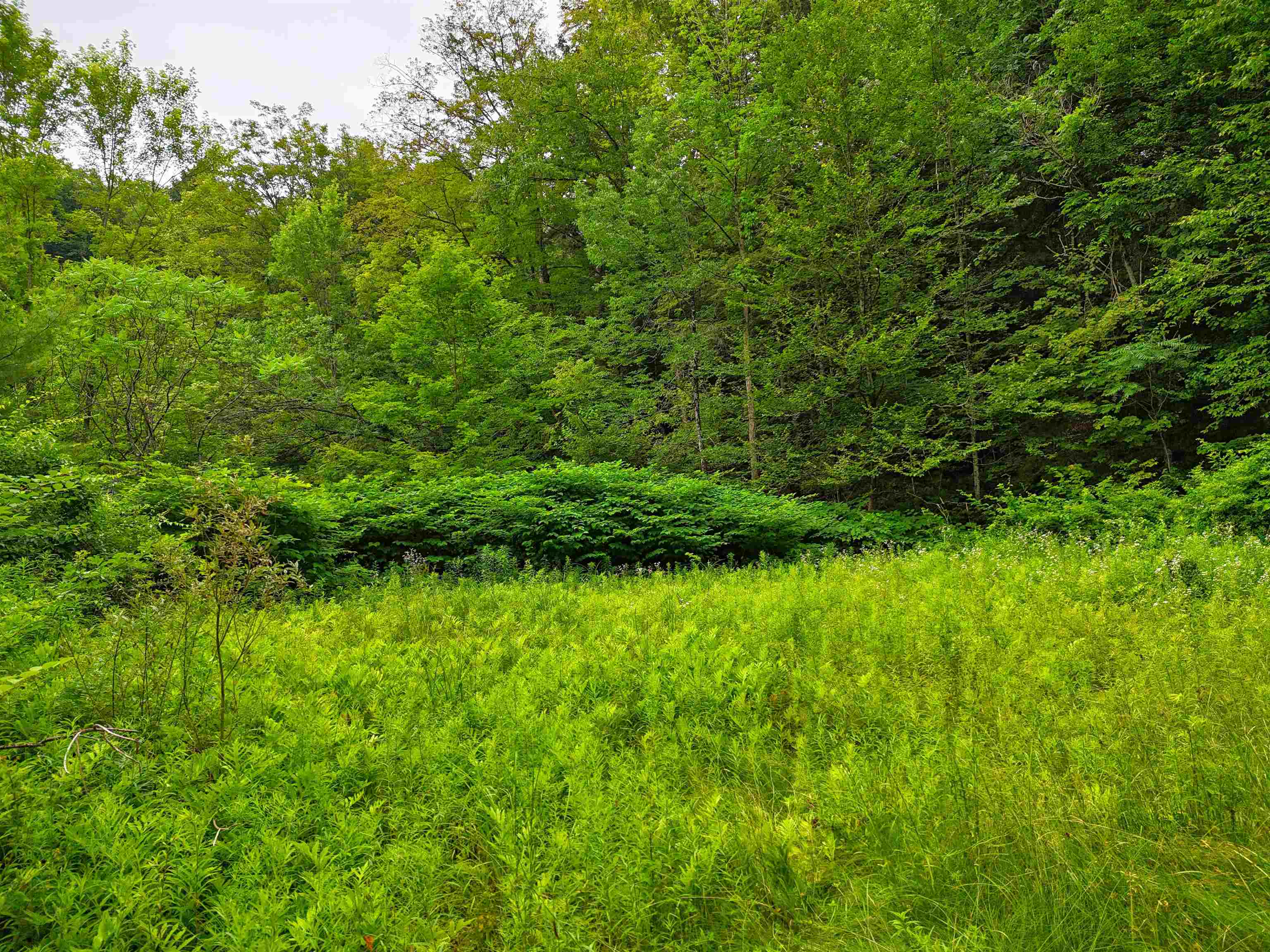 341 Seavers Brook Road