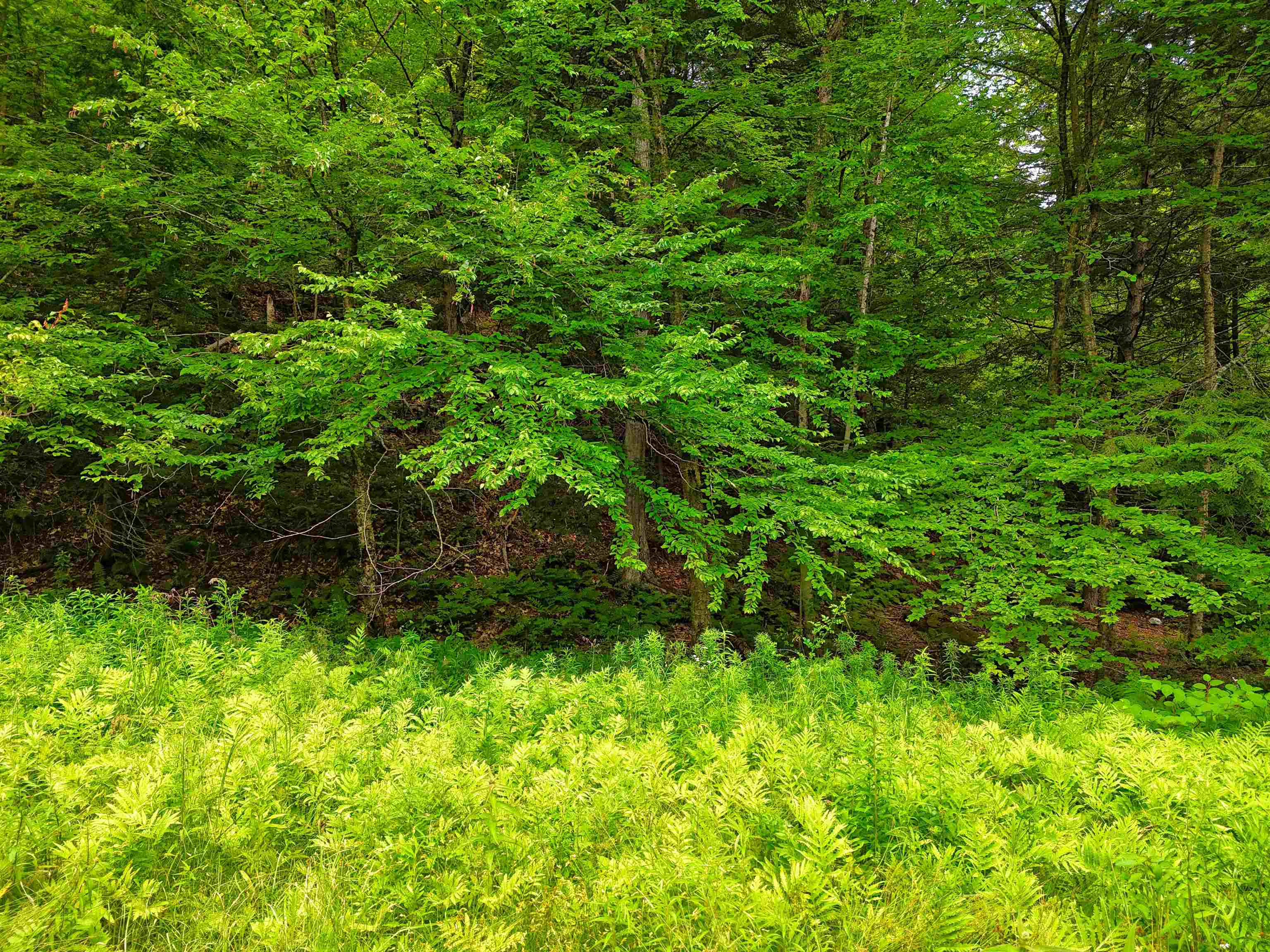 341 Seavers Brook Road