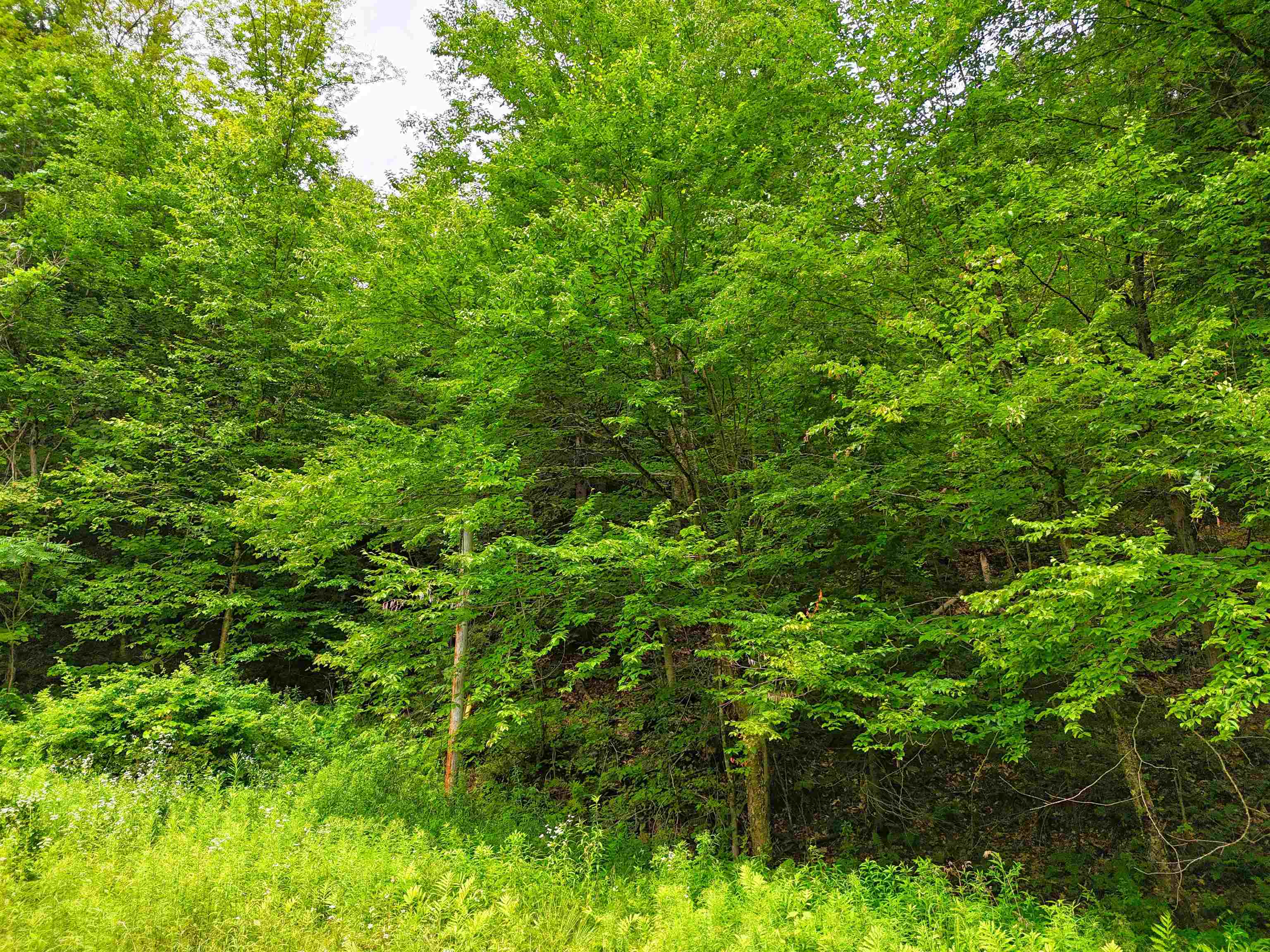 341 Seavers Brook Road