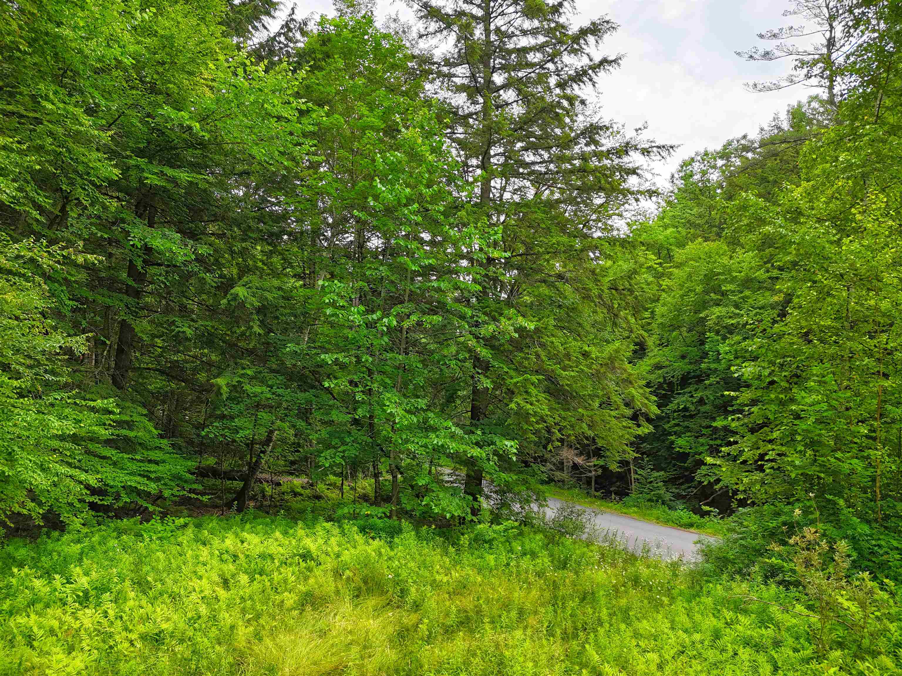 341 Seavers Brook Road