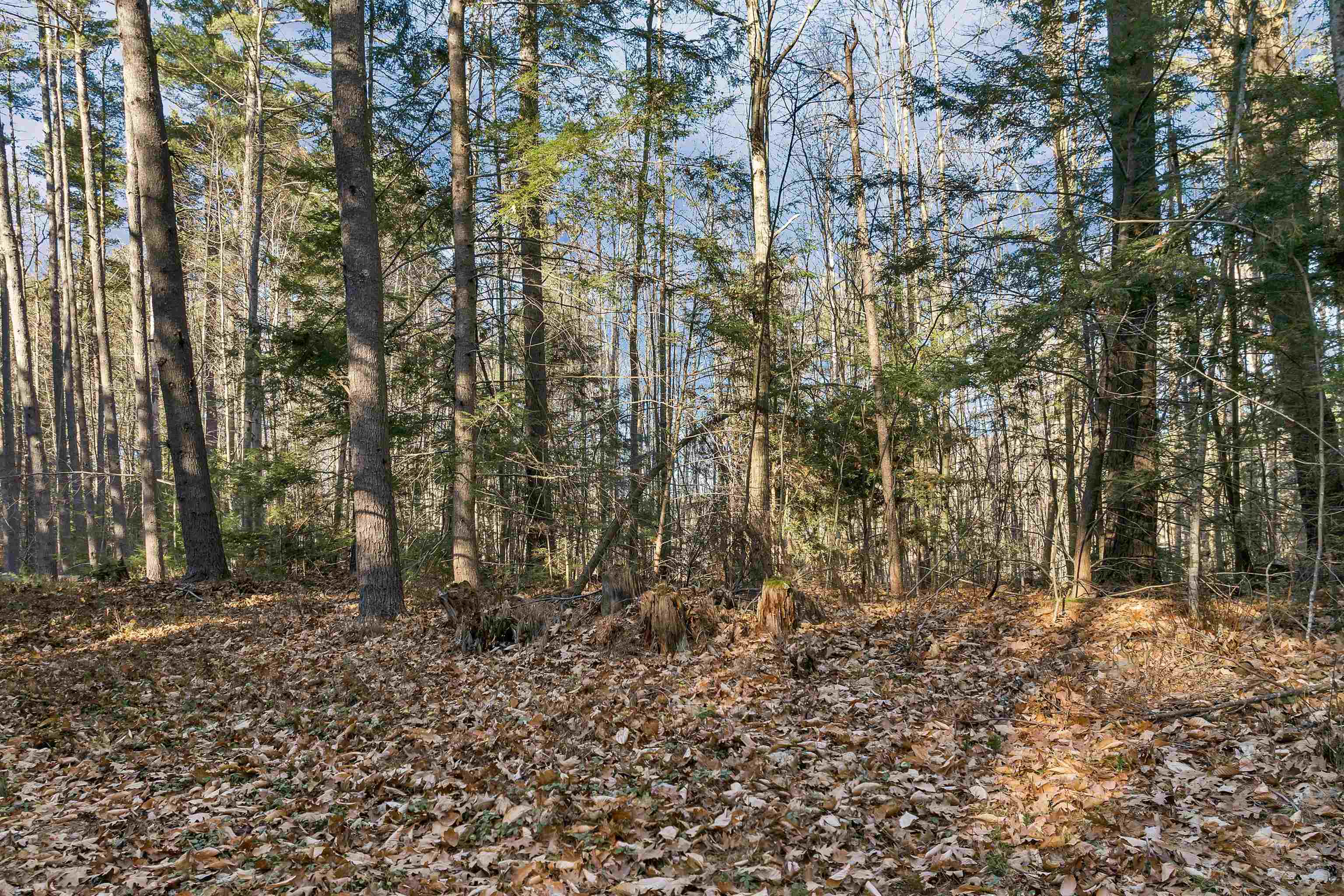 Camp Road 14
