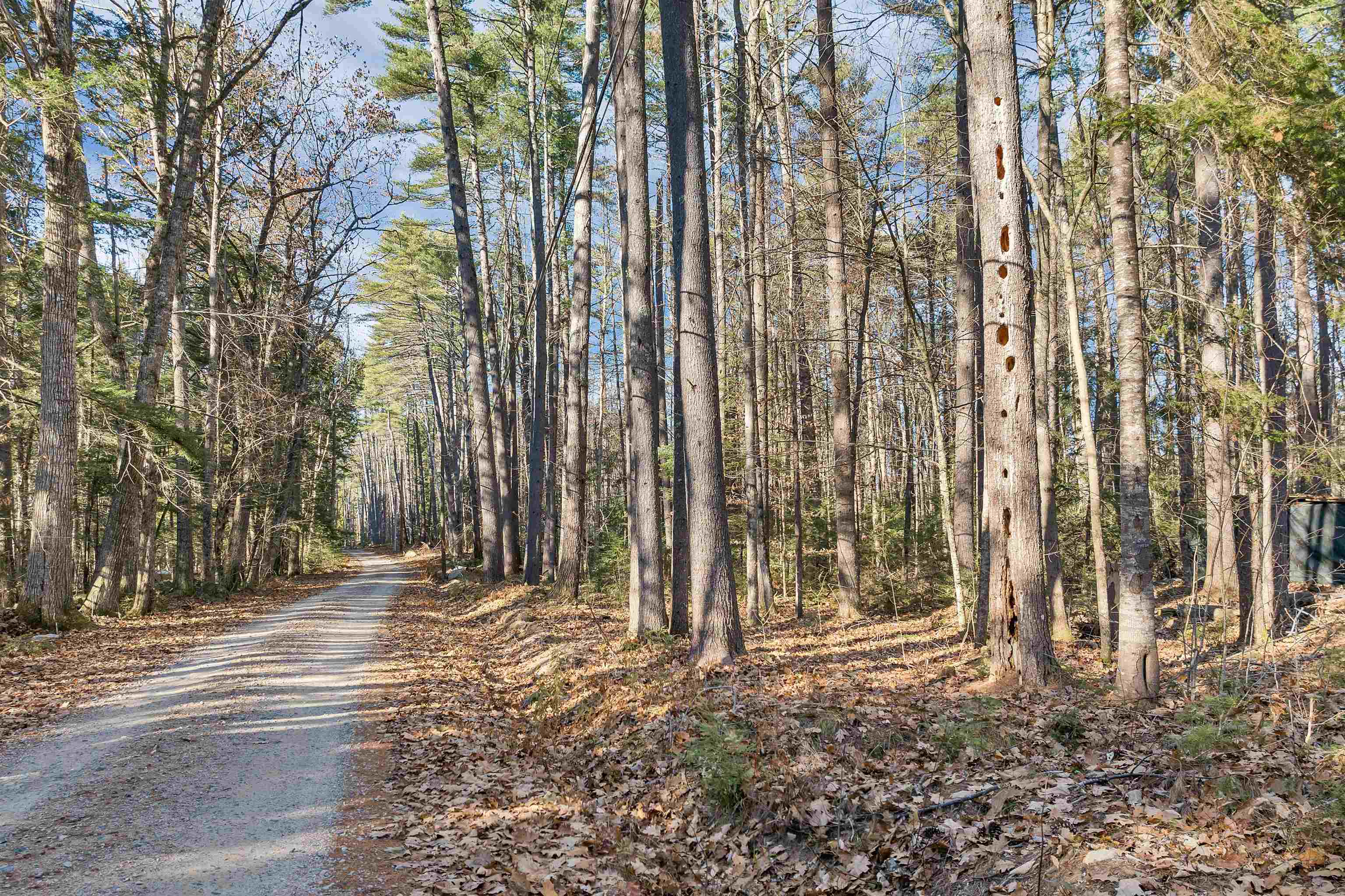 Camp Road 14