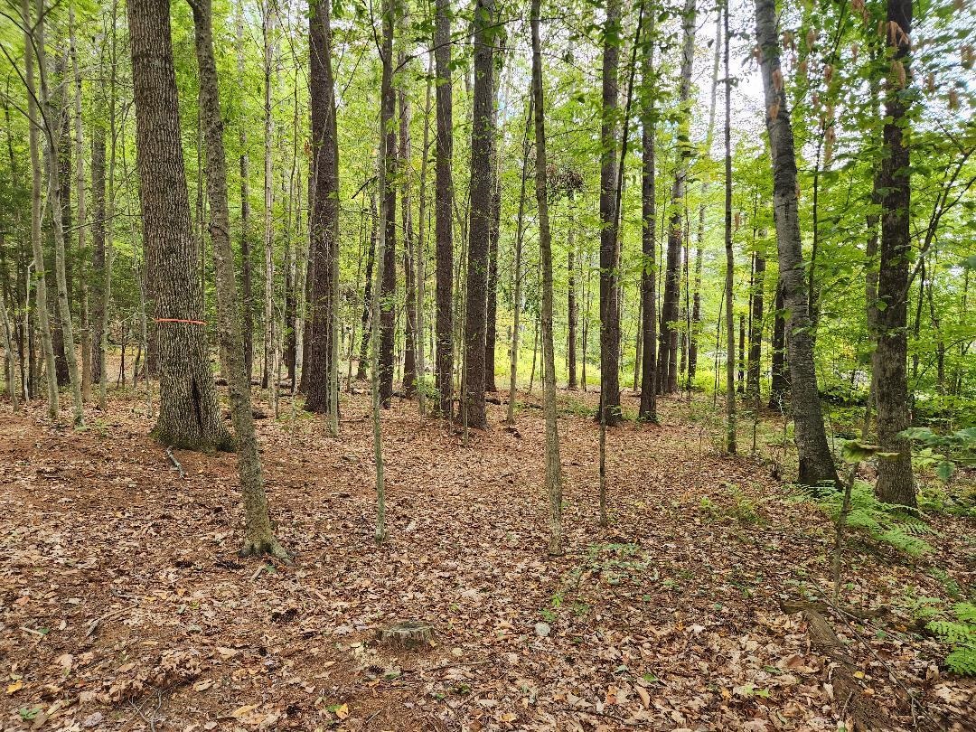 Lot 27-1 Old Walpole Road