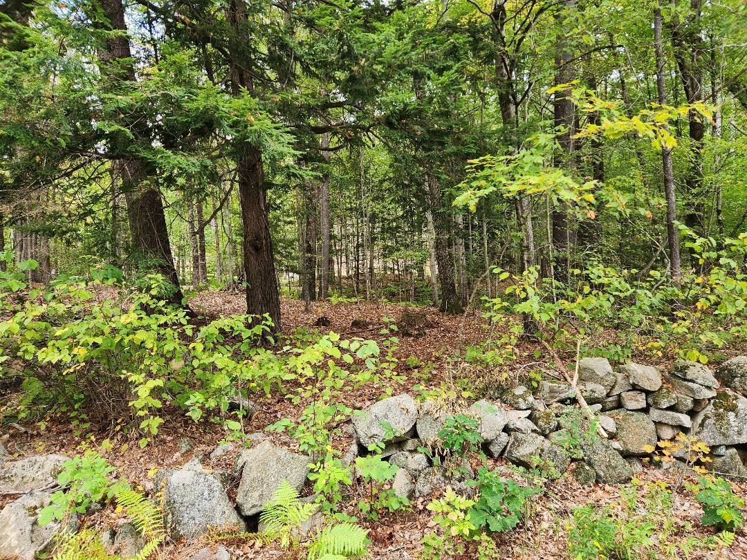 Lot 27-1 Old Walpole Road