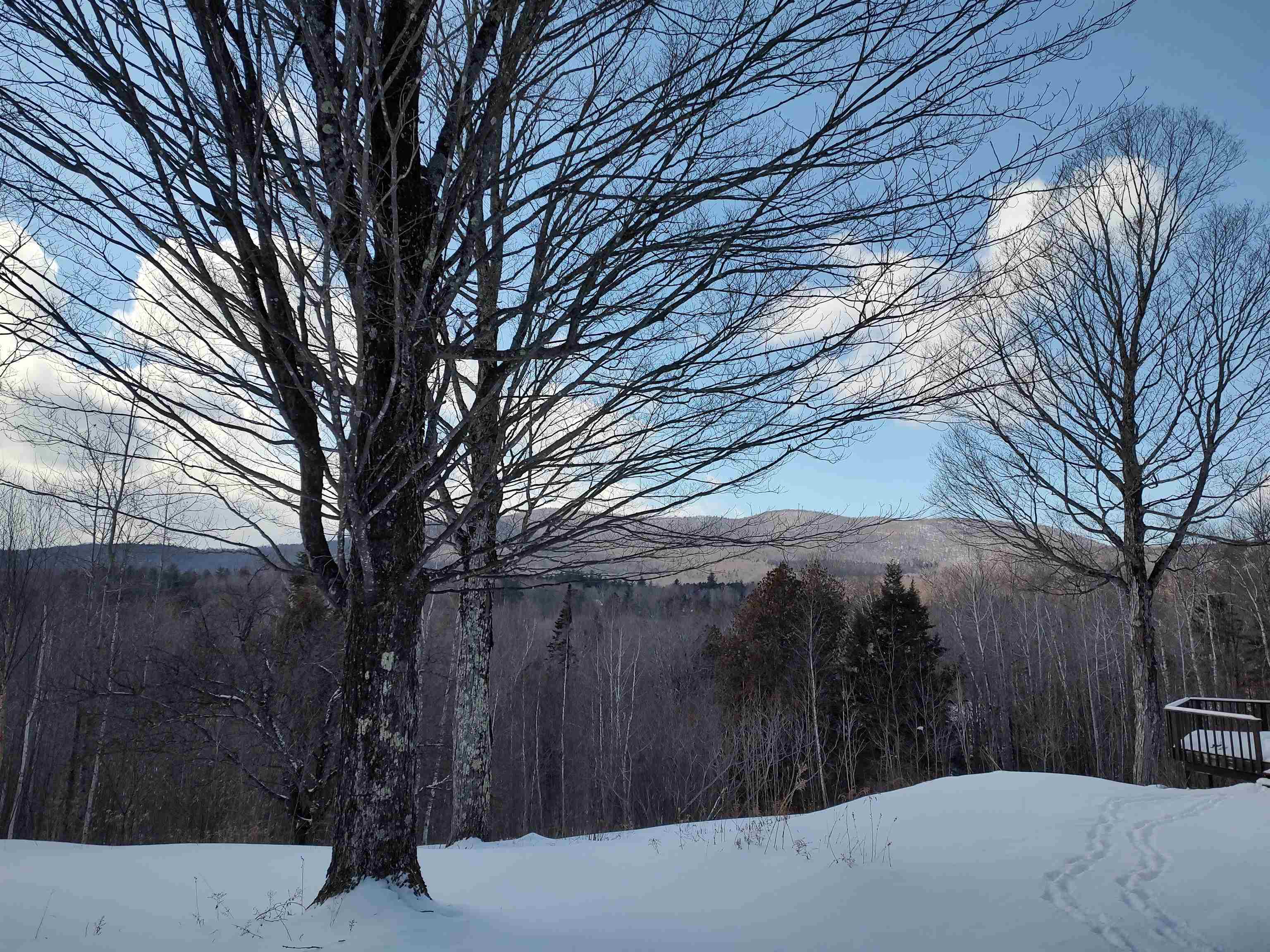 1846 Dartt Hill Road