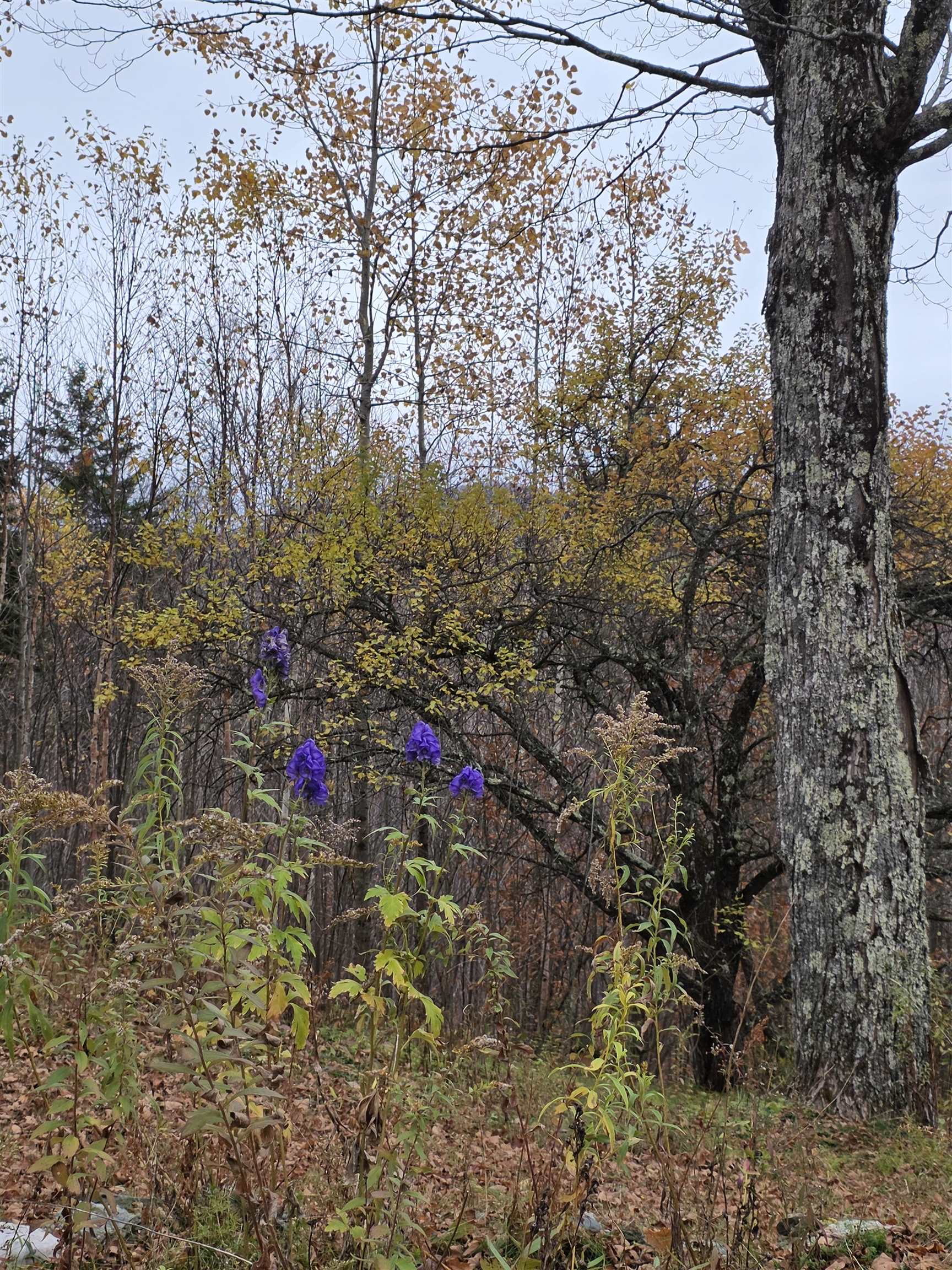 1846 Dartt Hill Road