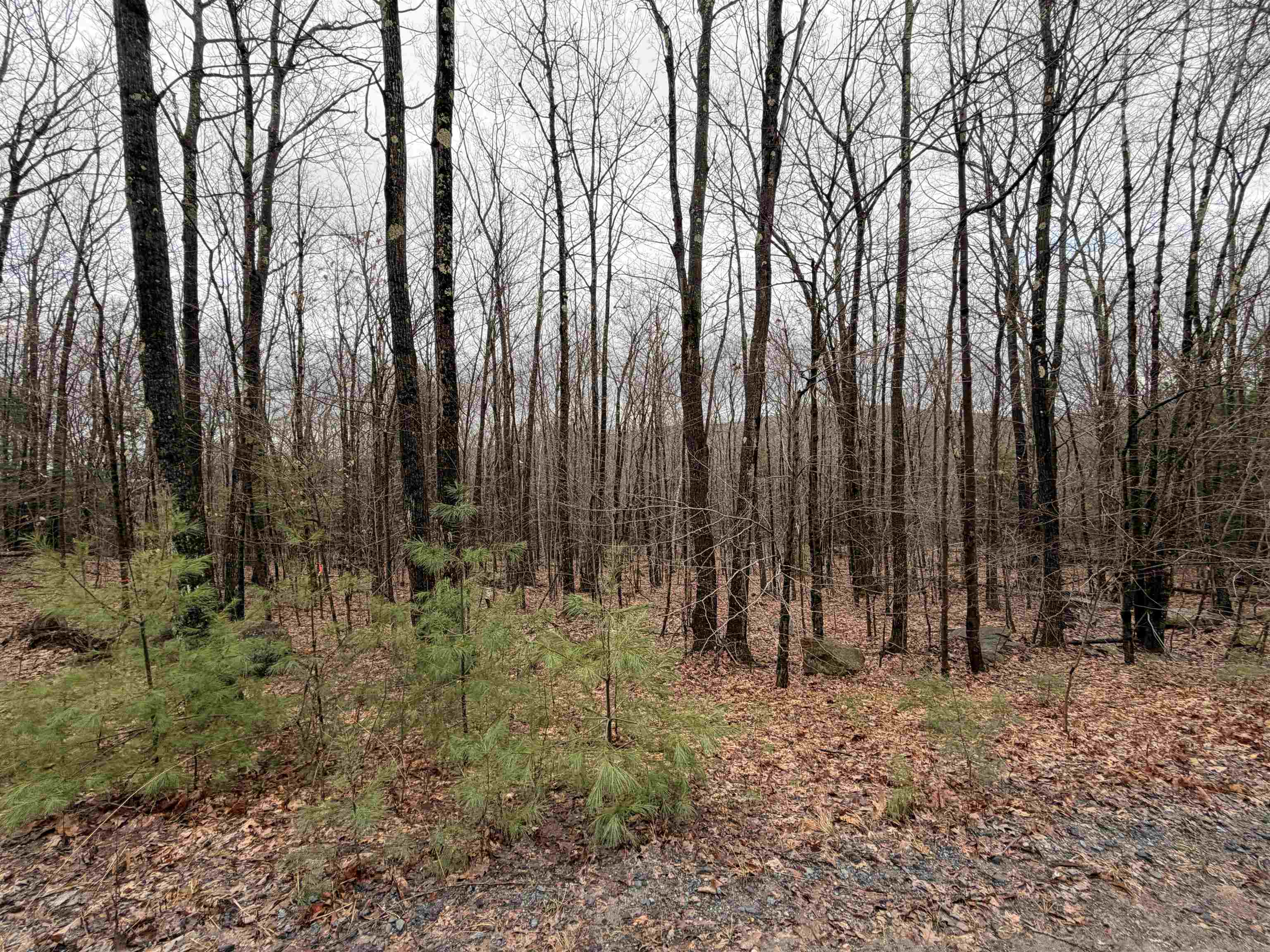 0 Old Walpole/Valley View Road