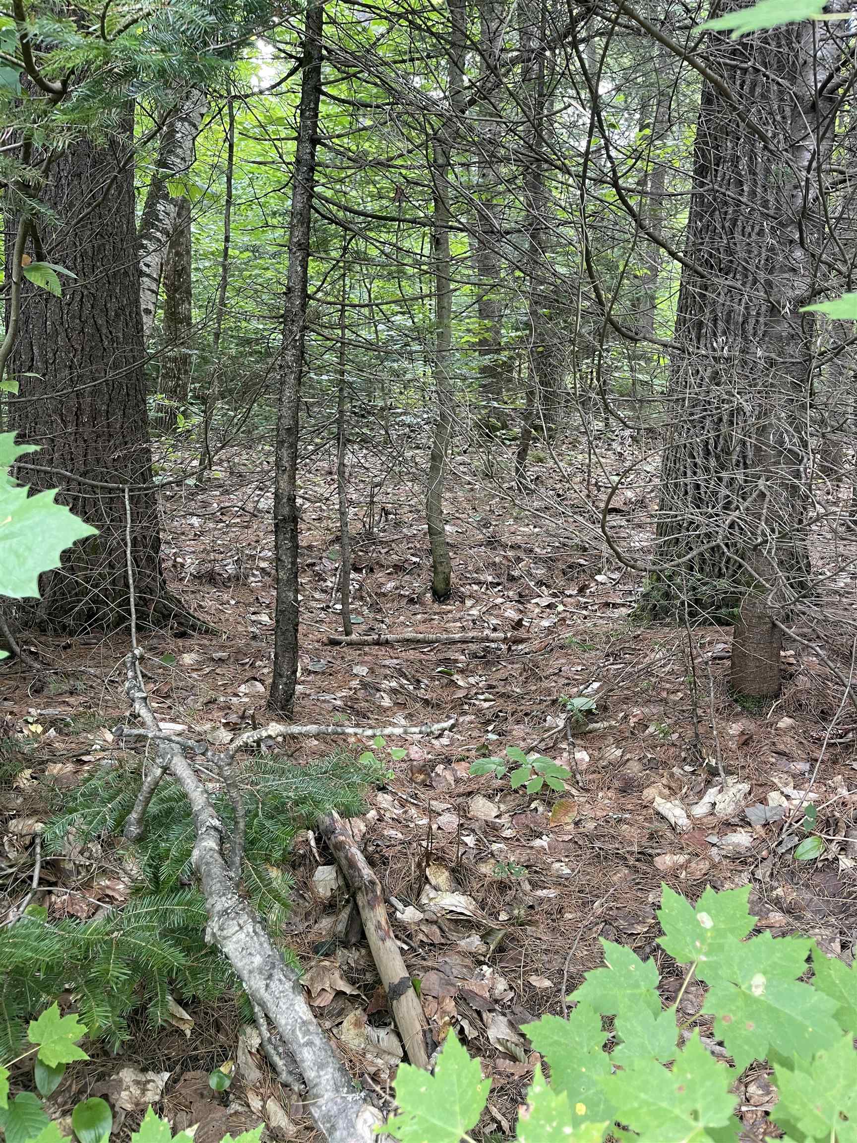 Lot 10-73 Ayers Road