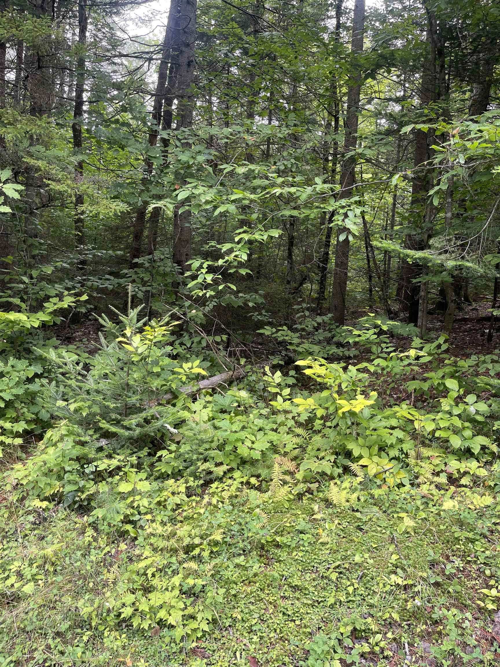 Lot 10-73 Ayers Road