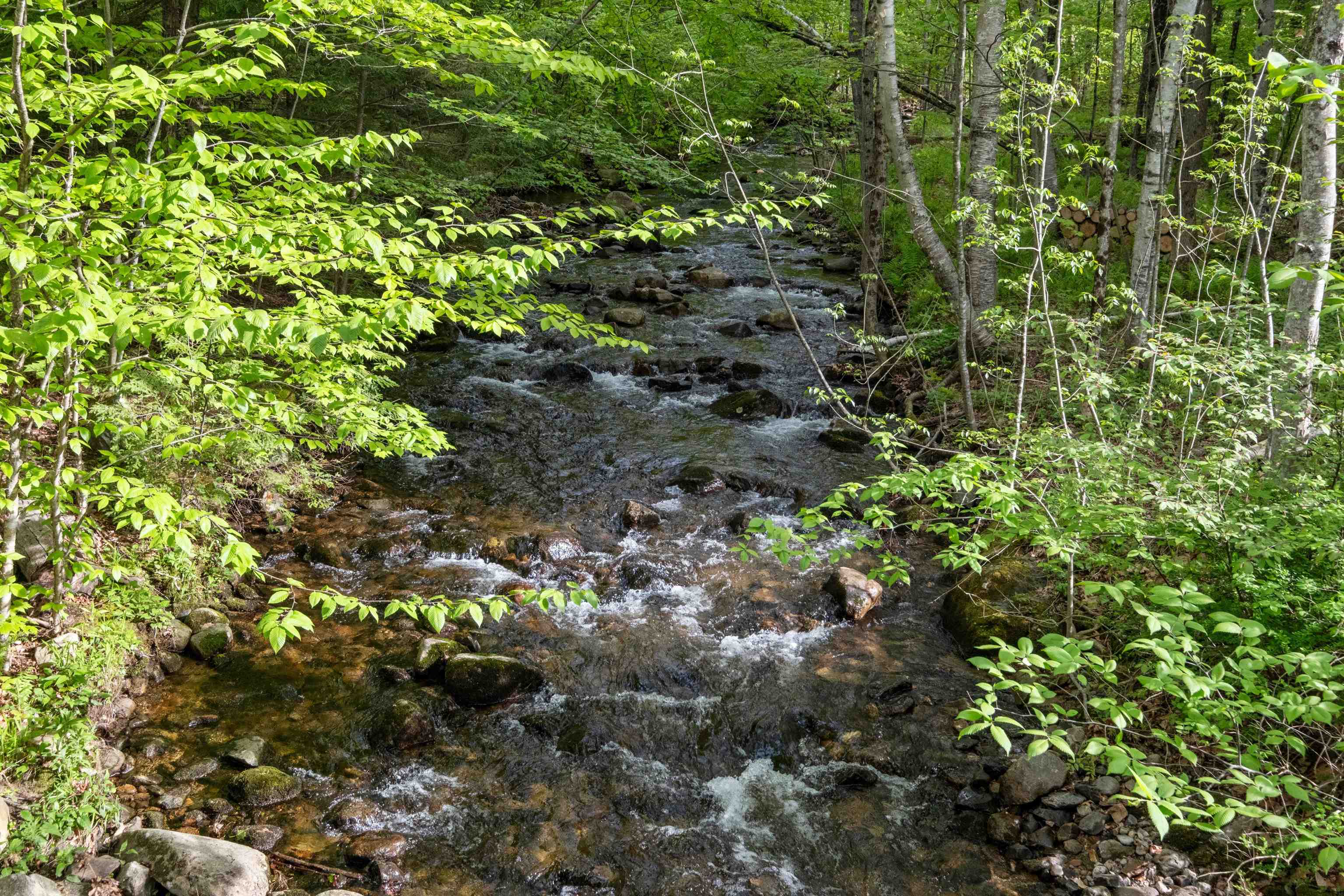 87 Moose Mountain Road