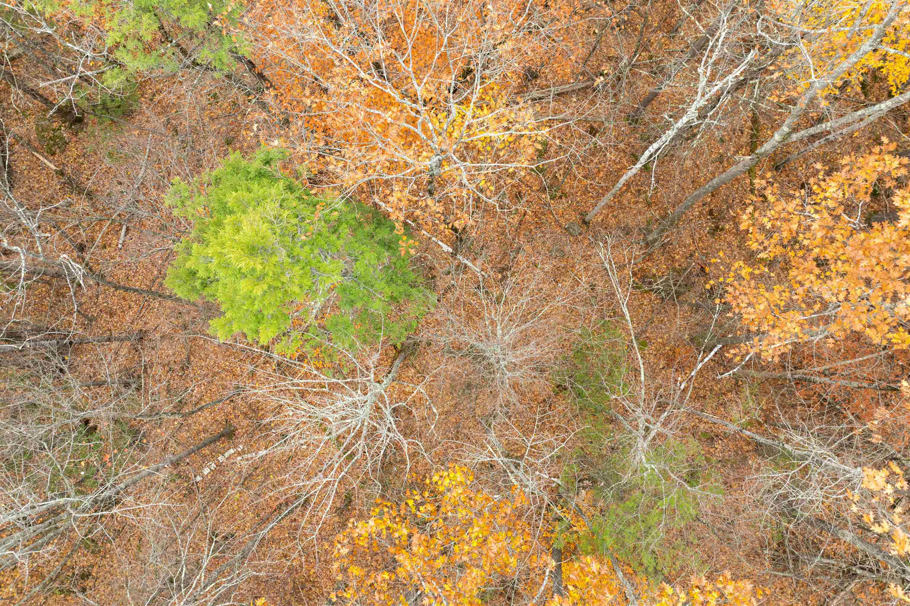 Parker Island Road Map 226, Lot 10