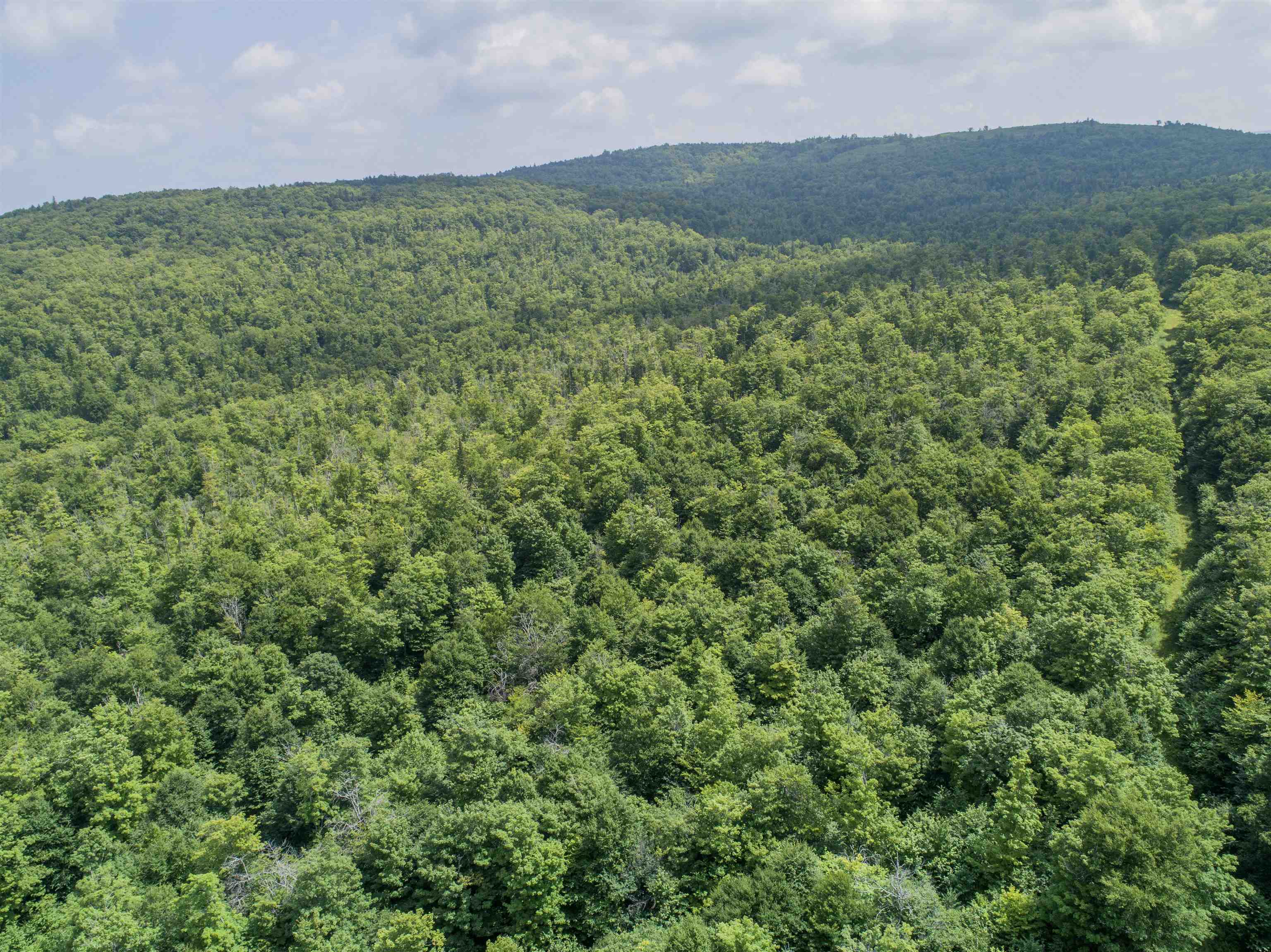 Lot 16 Deadwater Road