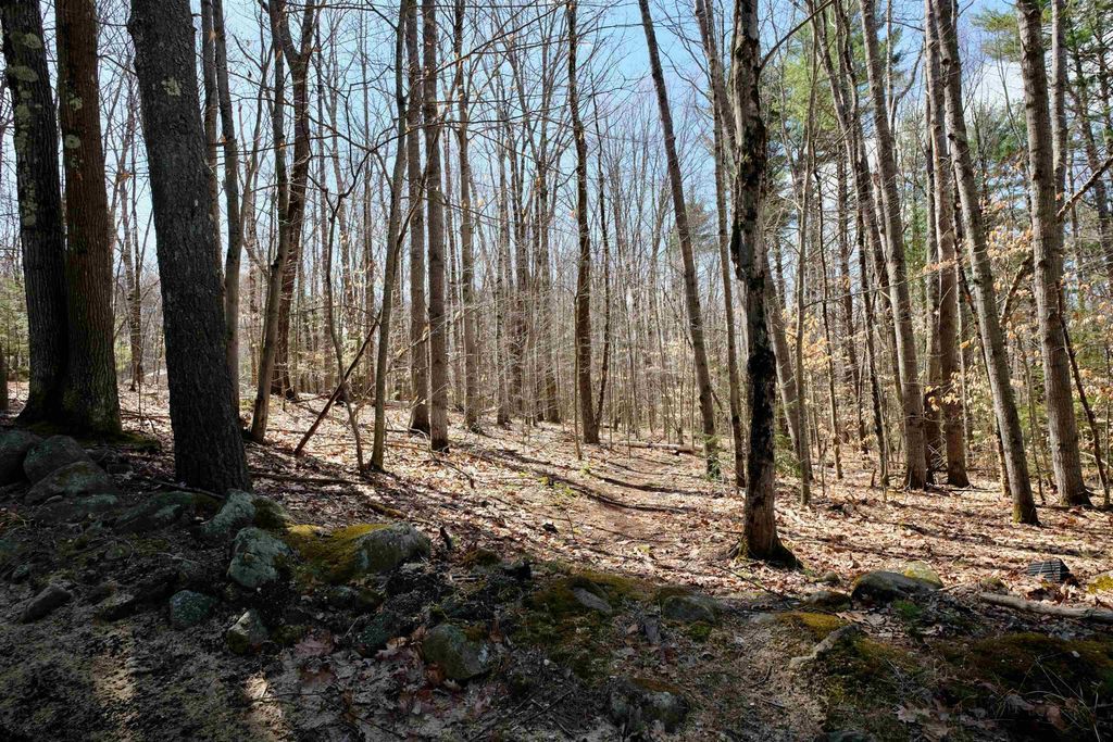 Photo of 111 Page Road, Bow, NH 03304 (MLS # 5083913)