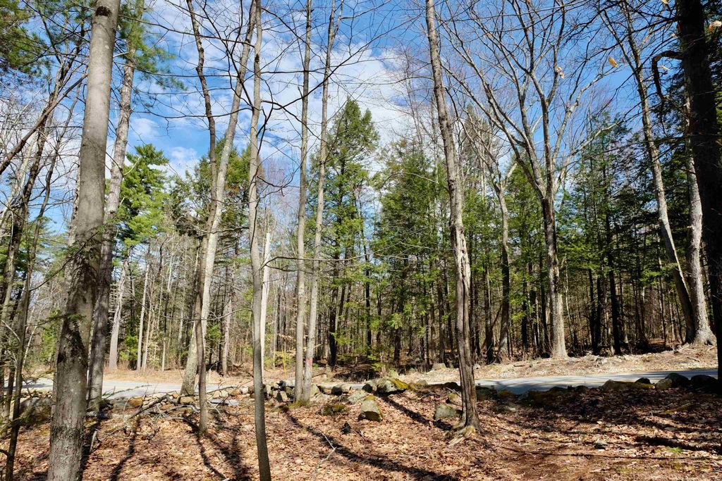 Photo of 111 Page Road, Bow, NH 03304 (MLS # 5083913)