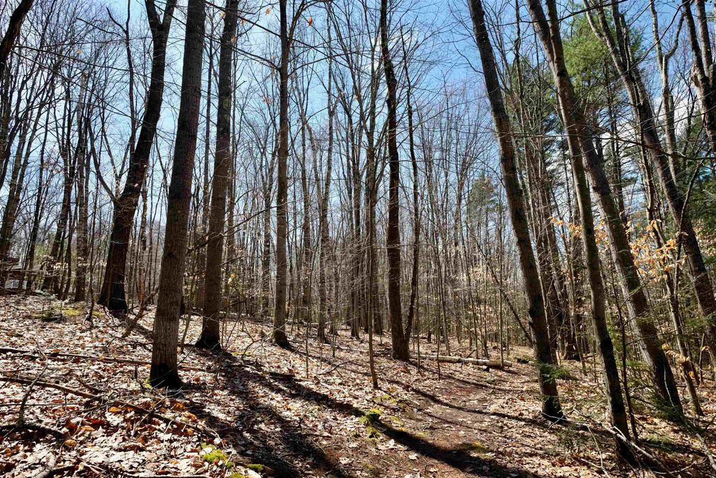 Photo of 111 Page Road, Bow, NH 03304 (MLS # 5083913)