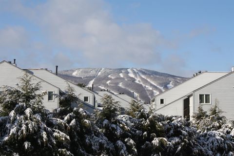 32 Route 103 South F1 Ludlow VT 05149