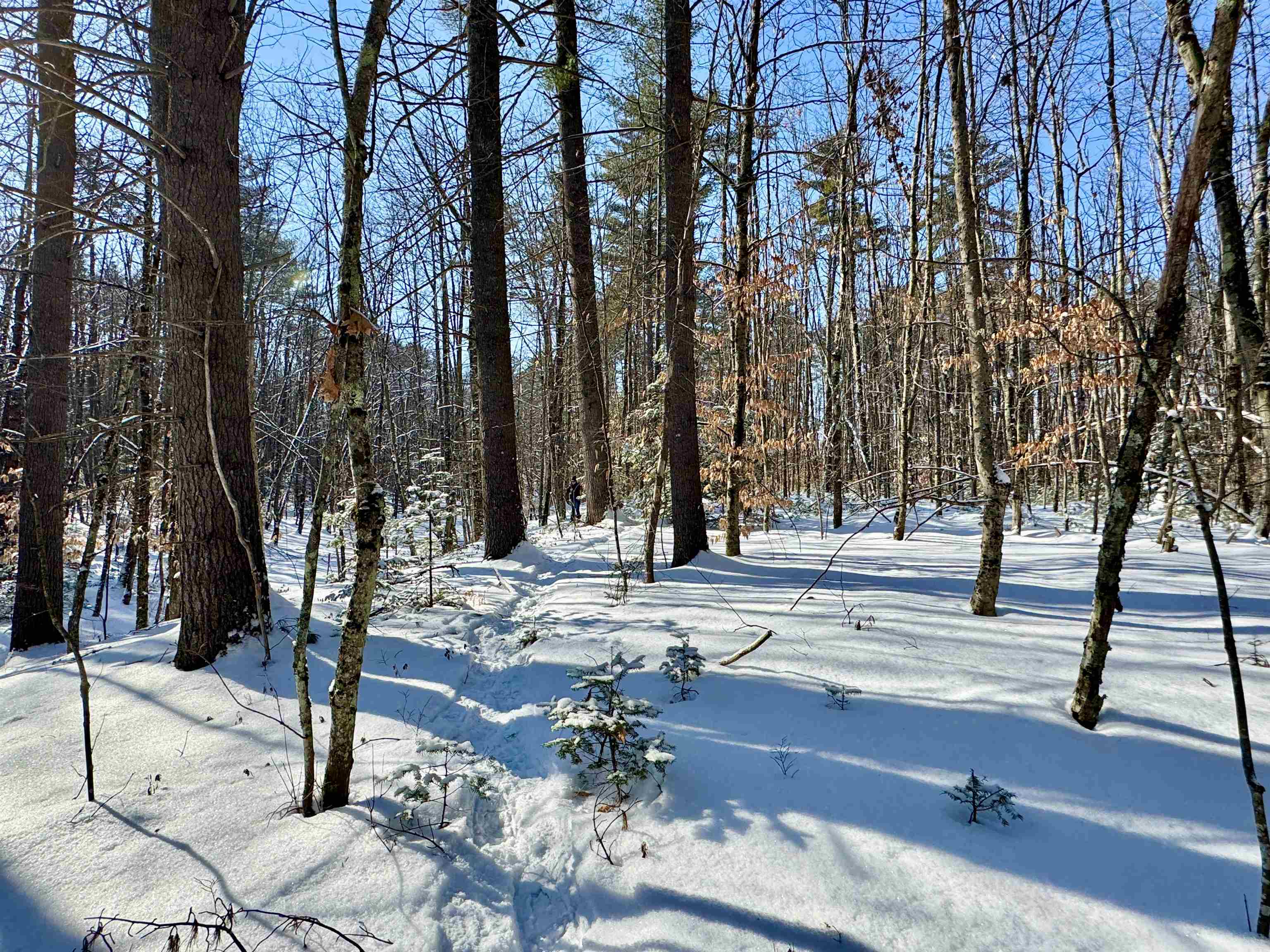 00 Swans Falls Road Lot B