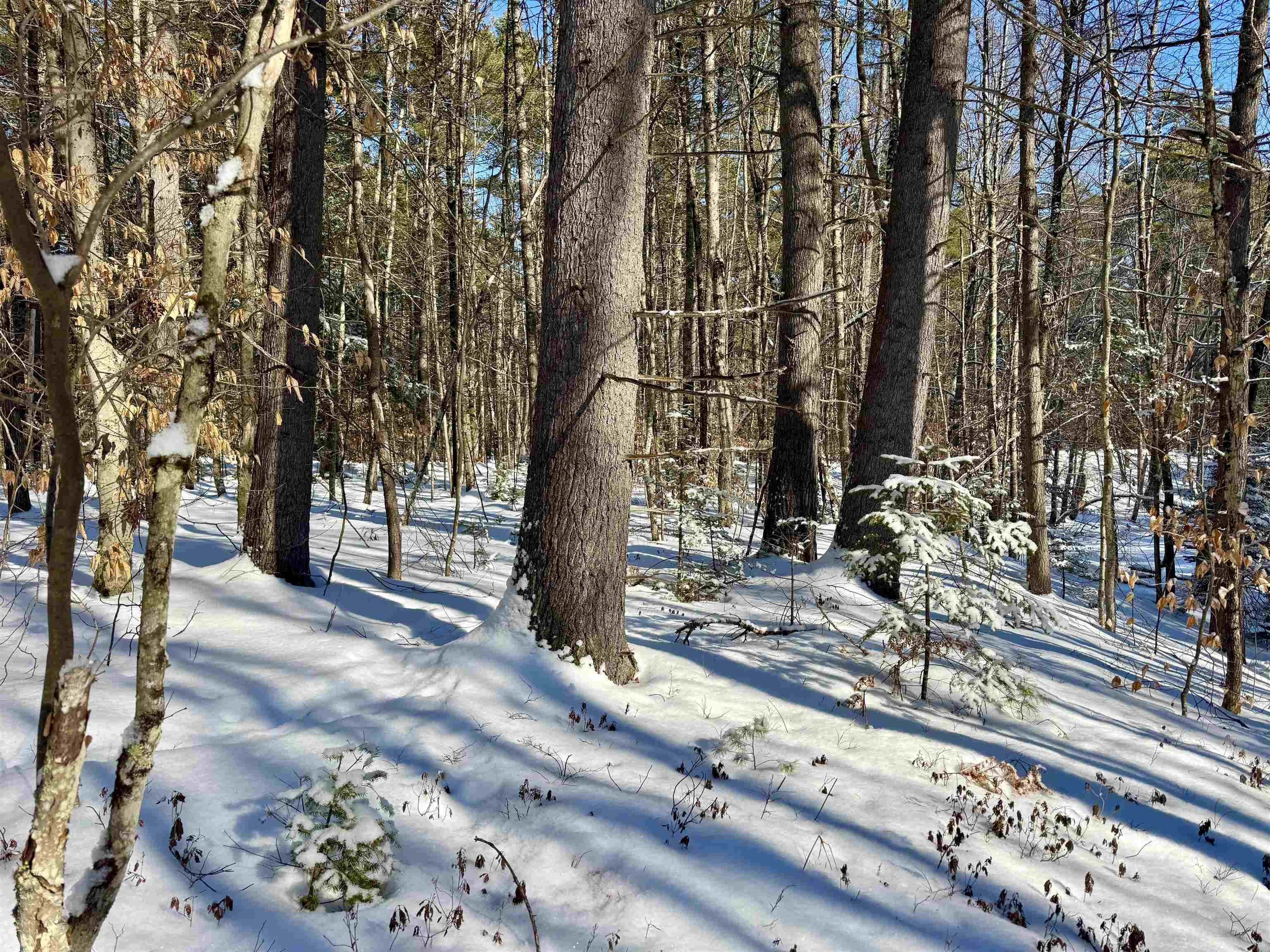 00 Swans Falls Road Lot B