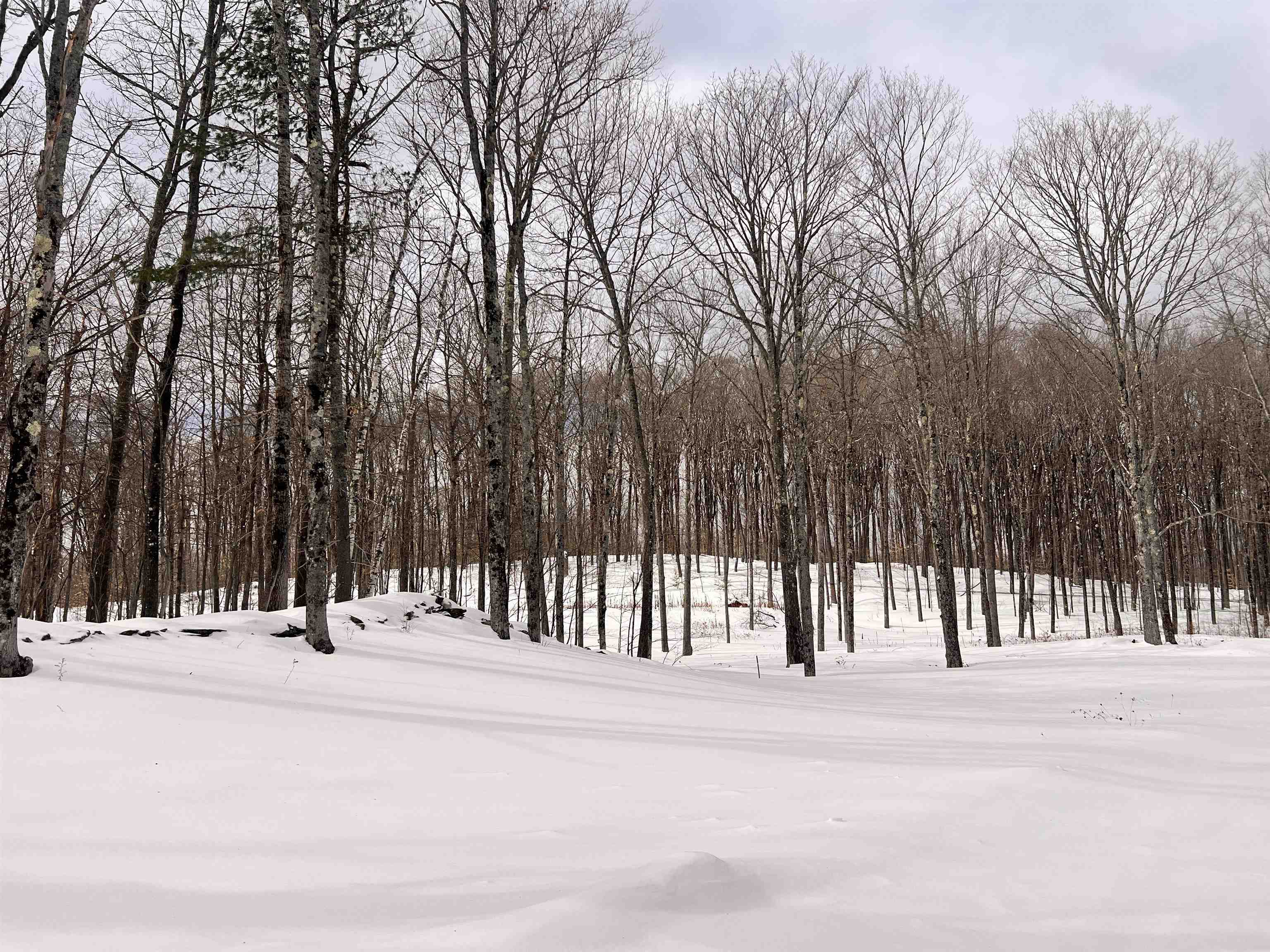 119 Advent Hill Road