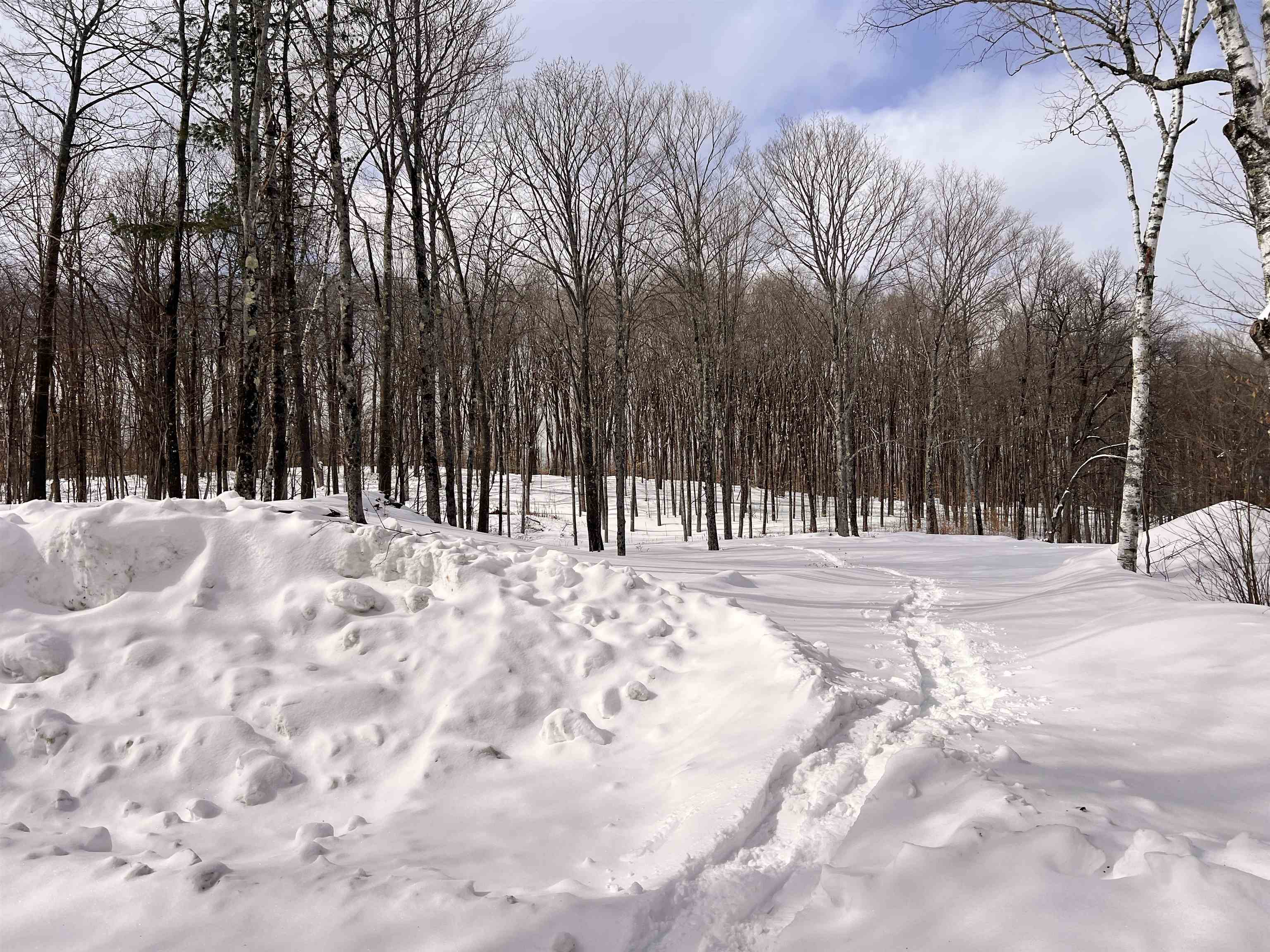 119 Advent Hill Road