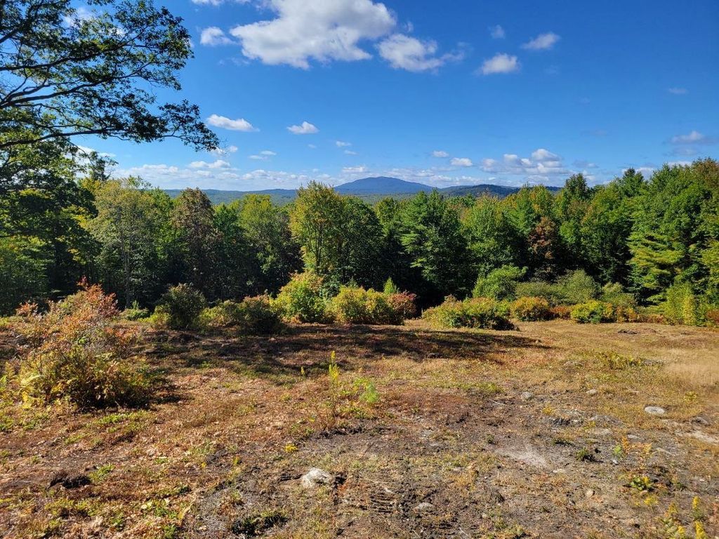 Photo of 52 Duncan Road, Hancock, NH 03449 (MLS # 5082925)