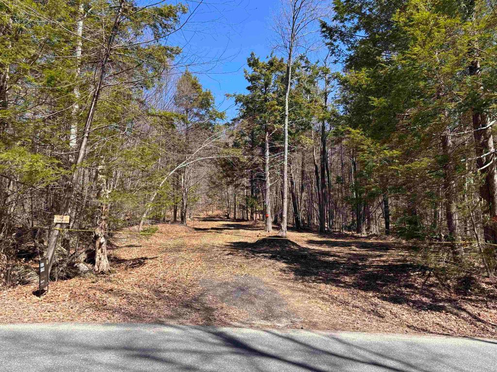 Photo of 52 Duncan Road, Hancock, NH 03449 (MLS # 5082925)