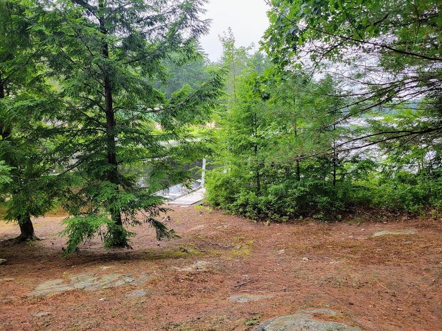 54 Canterbury Shore Drive