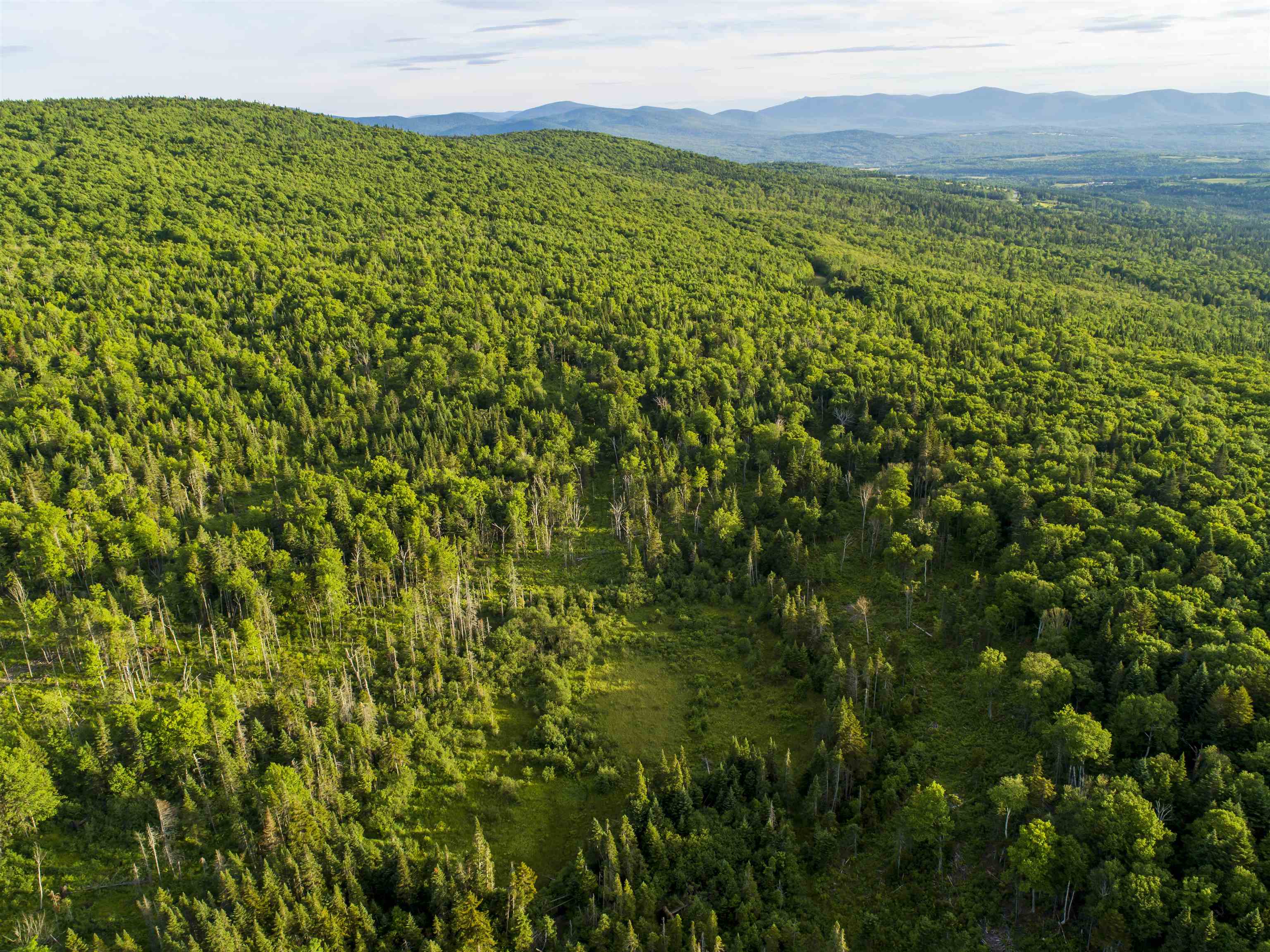 8 Diamond Pond Road B