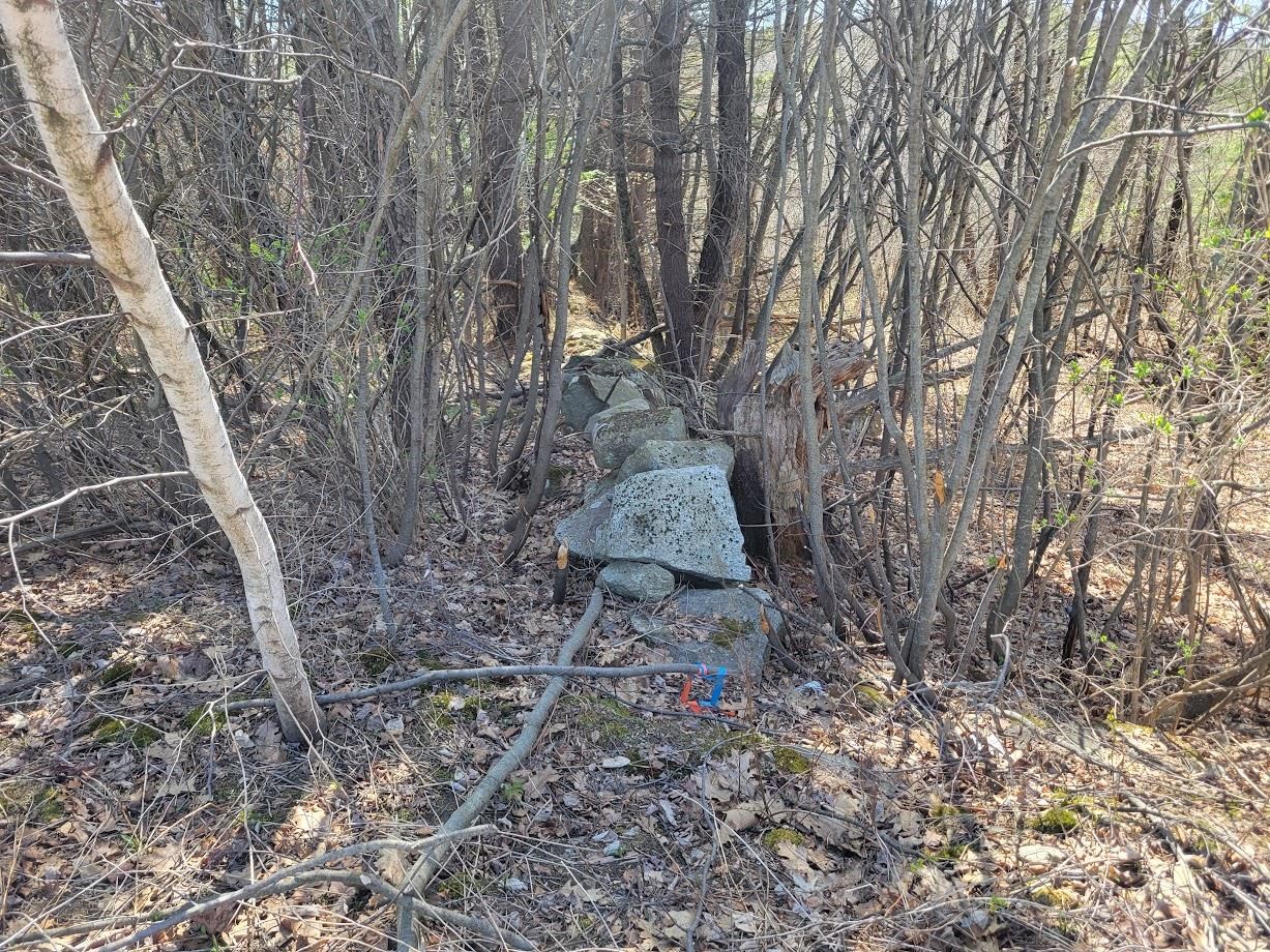 Newport, New Hampshire 03754, United States, ,Commercial,Active,116709