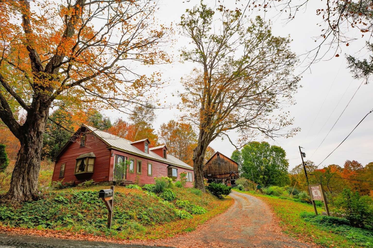 1312 Macintosh Hill Road