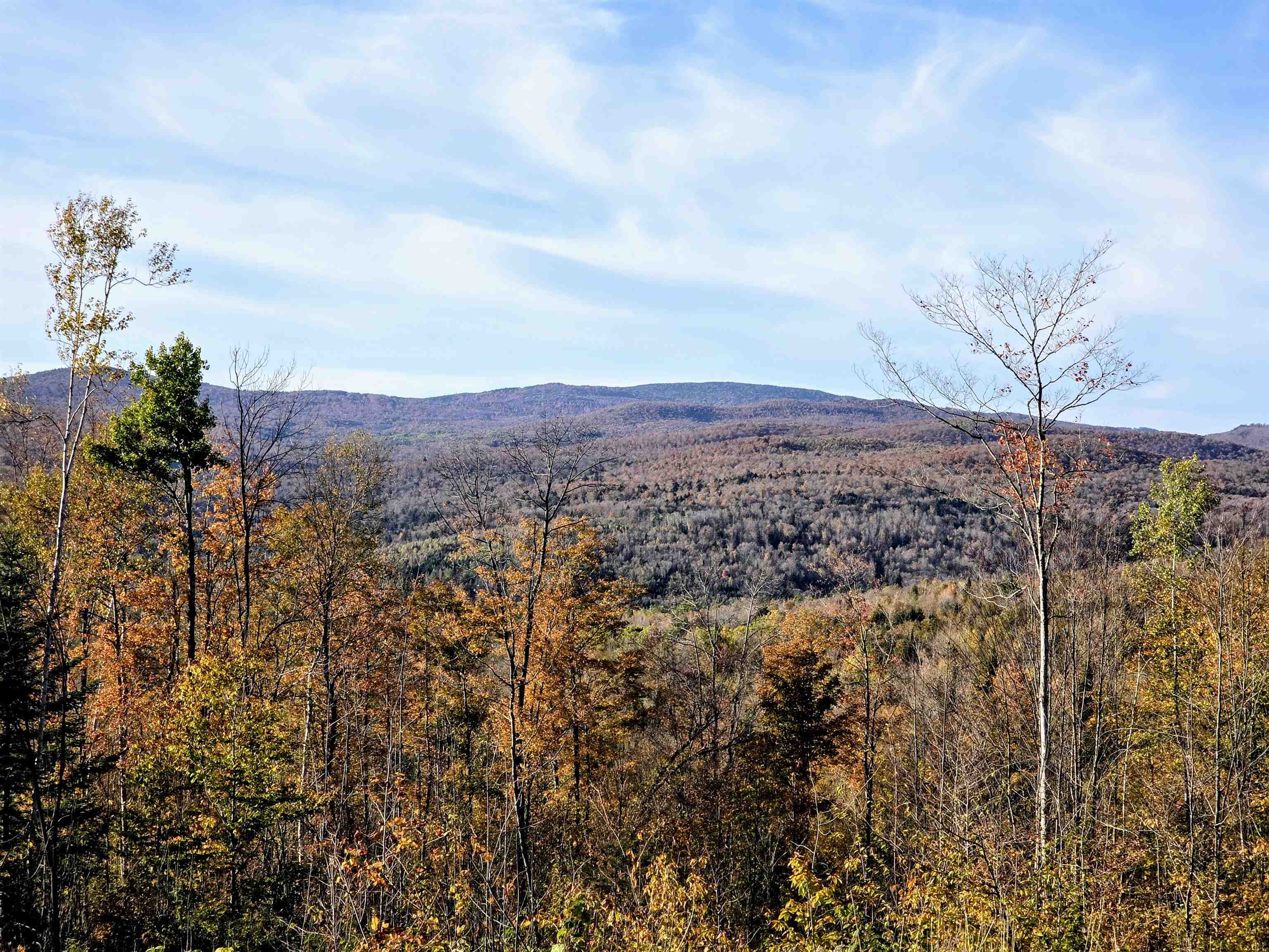 Map 405 Lot 14
