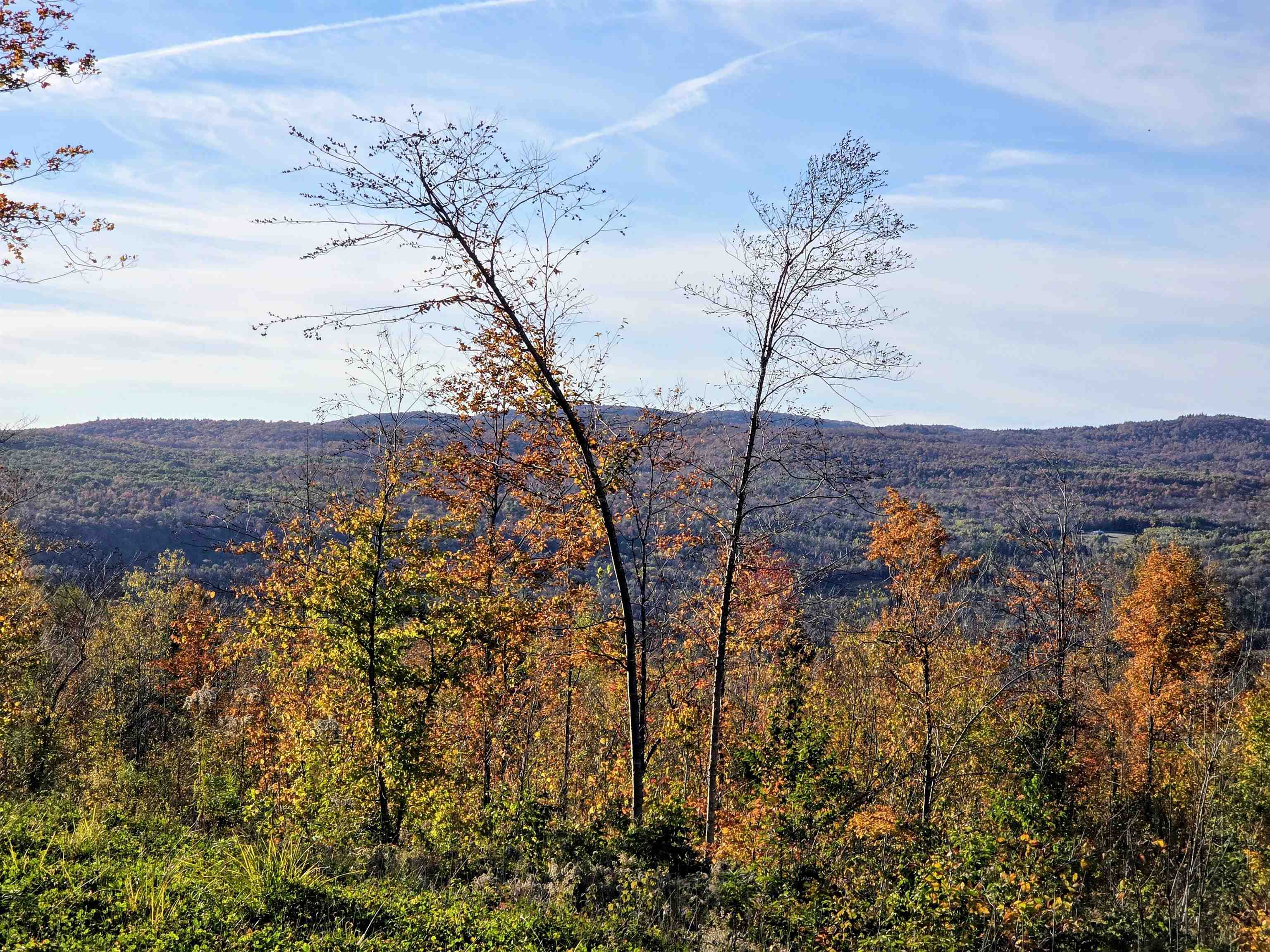 Columbia, New Hampshire 03576, United States, ,Land,Active,234201