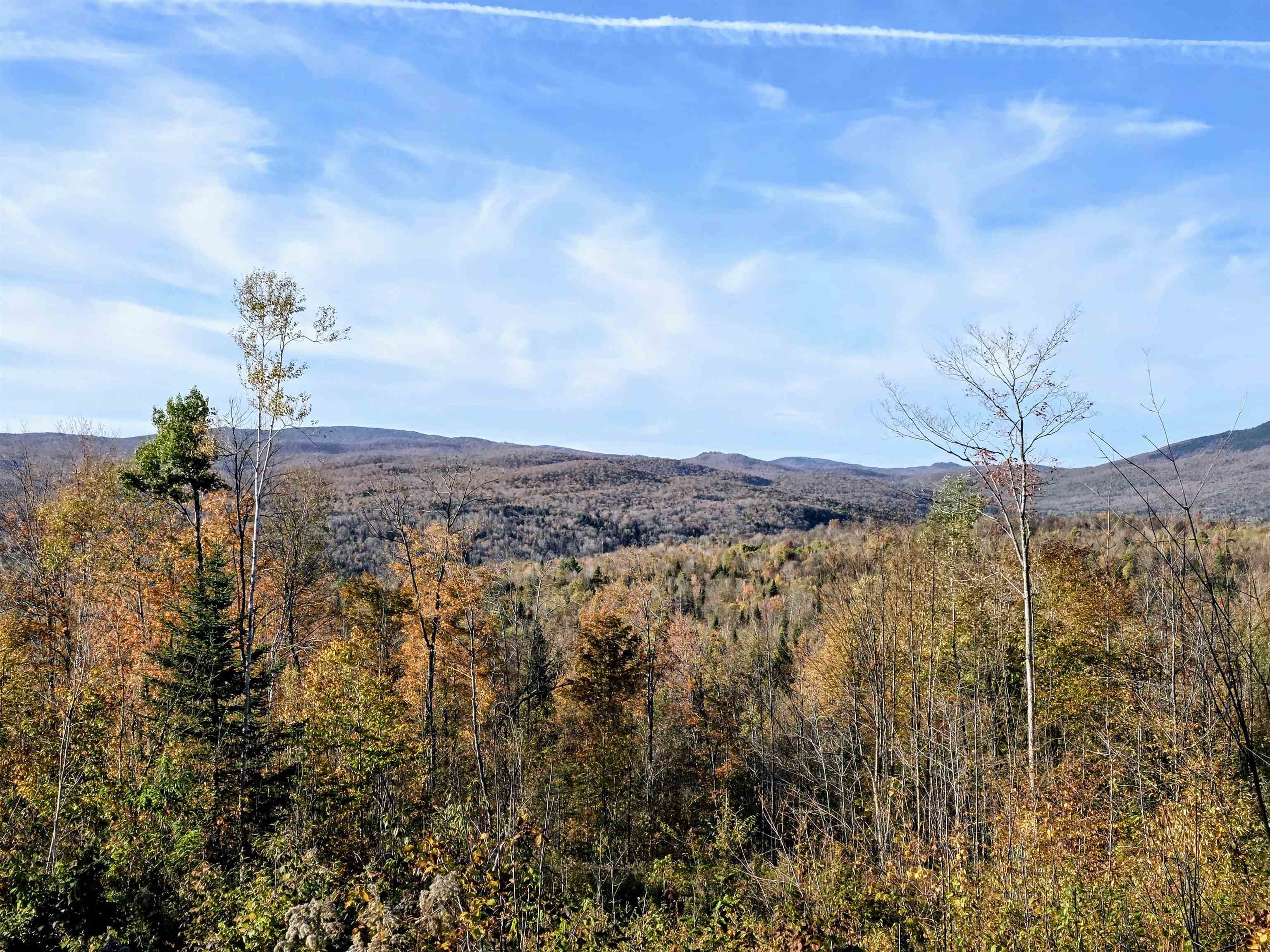 Map 405 Lot 14