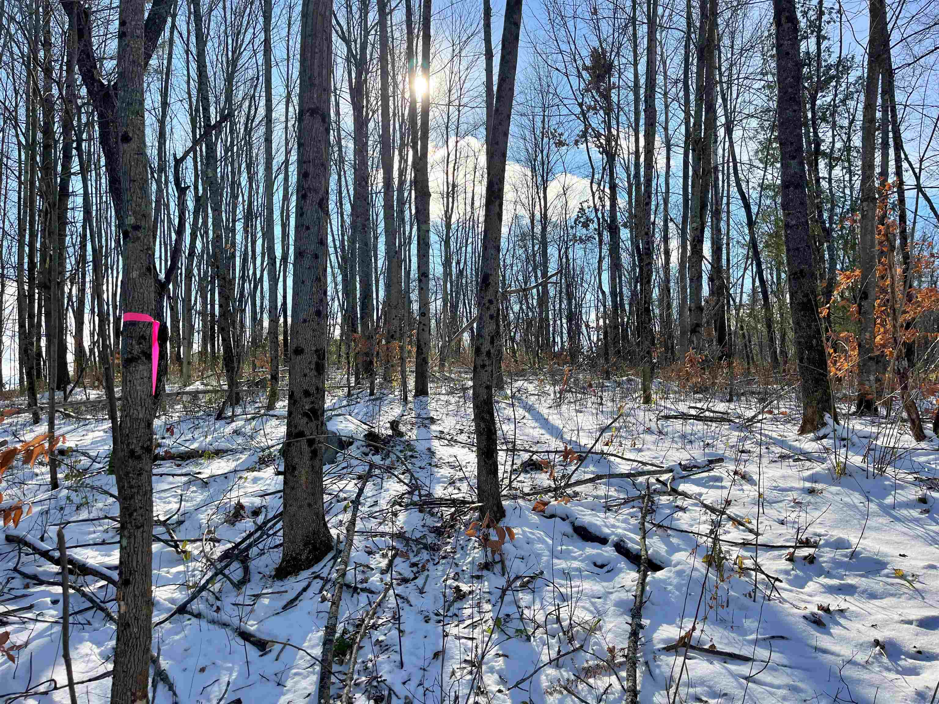 001 Duck Pond Road Lot #1