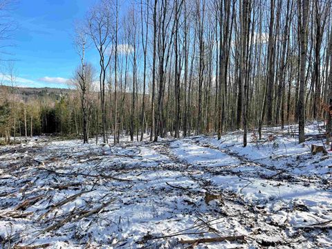 001 Duck Pond Road Lot #1 Barton VT 05822